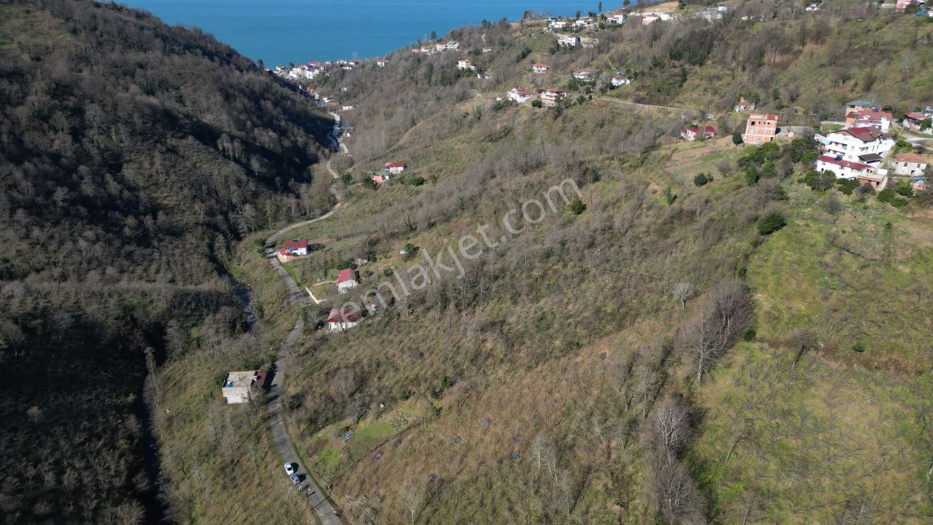 Century 21'den Perşembe Medreseönü'nde 1228 M2 Yatırımlık Bahçe - Görsel 17