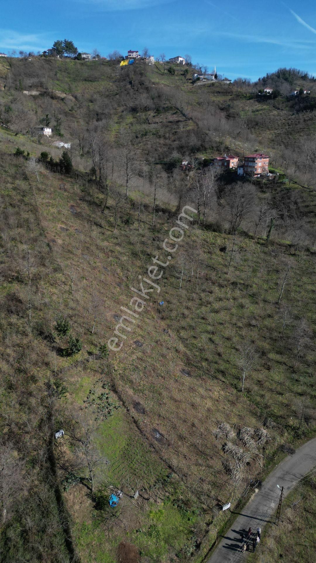 Century 21'den Perşembe Medreseönü'nde 1228 M2 Yatırımlık Bahçe - Görsel 22