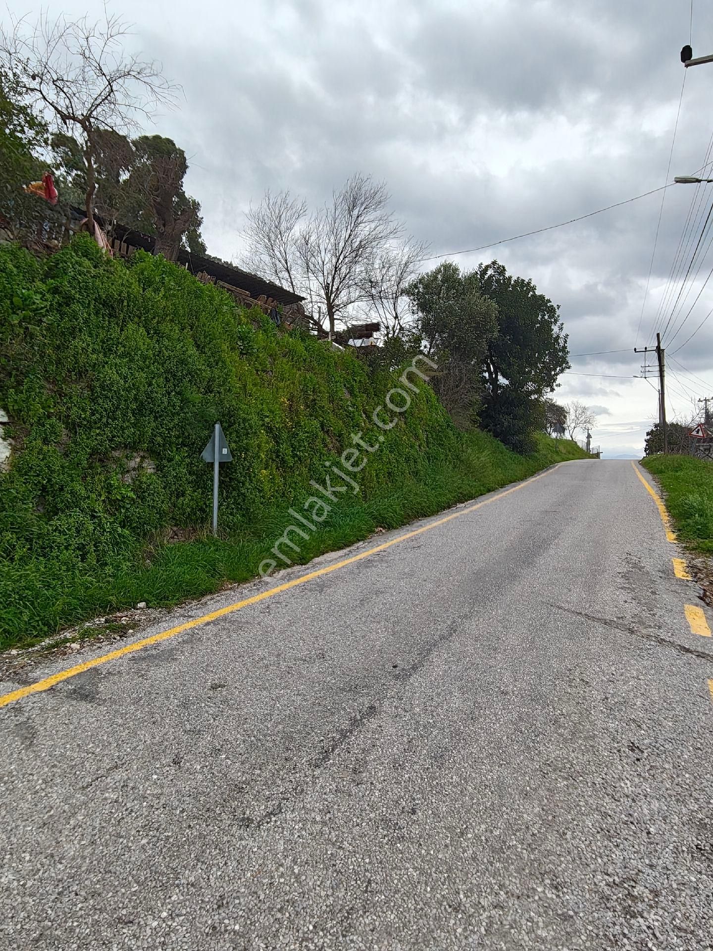 Muğla Ortaca Karadonlar - Görsel 10