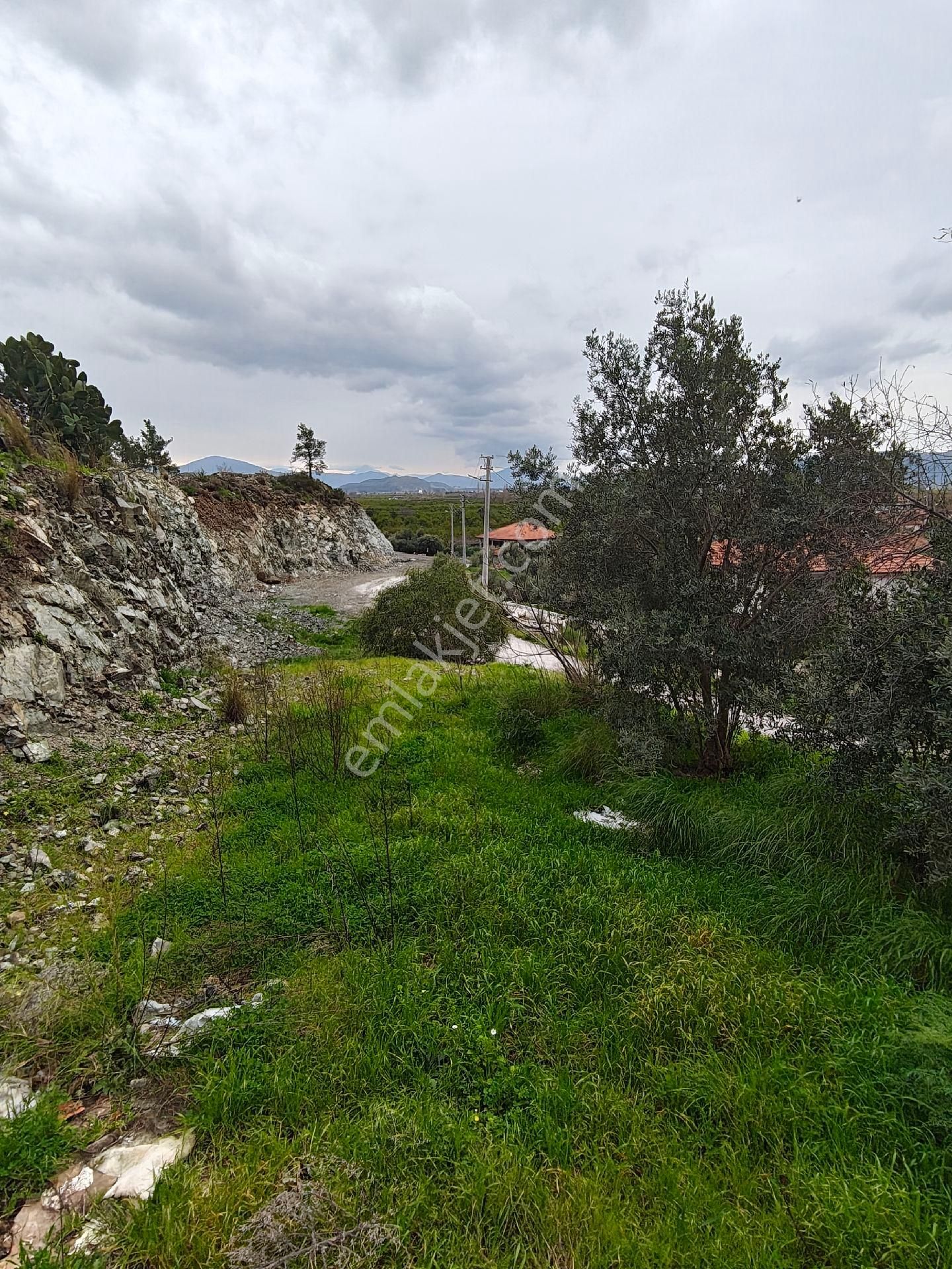 Muğla Ortaca Karadonlar - Görsel 8