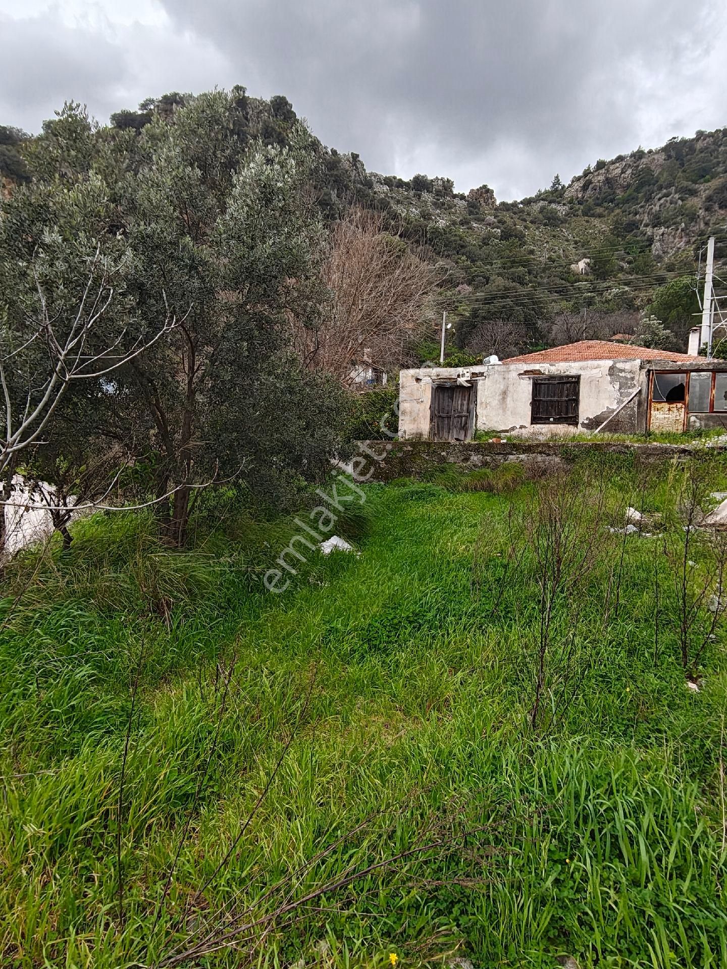 Muğla Ortaca Karadonlar - Görsel 15