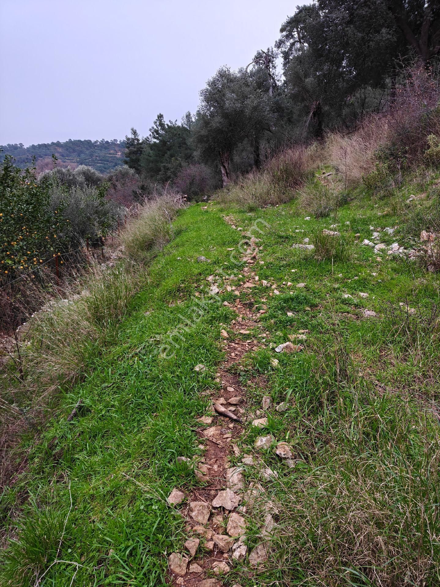 Muğla Ortaca Karadonlar - Görsel 2