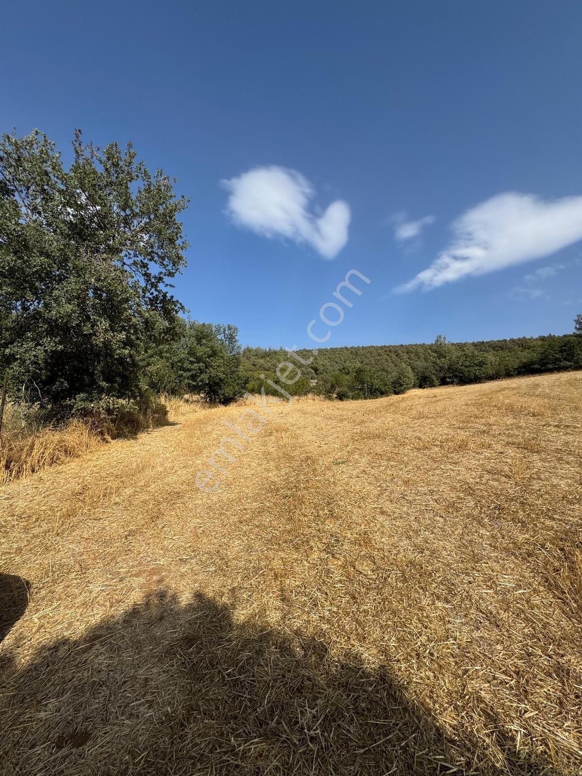 Beynil'den Bursa Orhaneli Serçeler'de 7333 M2 Satılık Tarla - Görsel 13