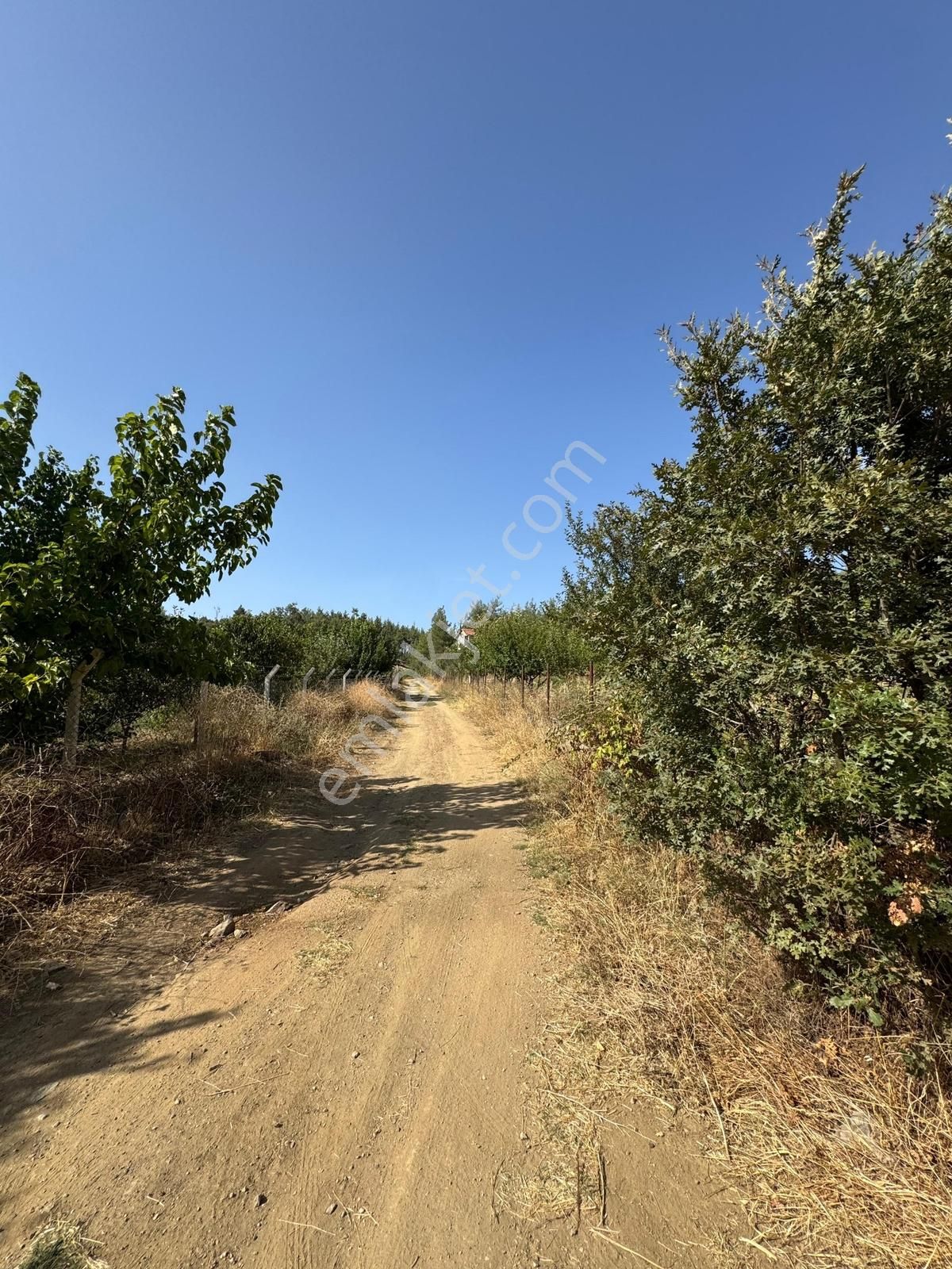 Beynil'den Bursa Orhaneli Serçeler'de 7333 M2 Satılık Tarla - Görsel 16