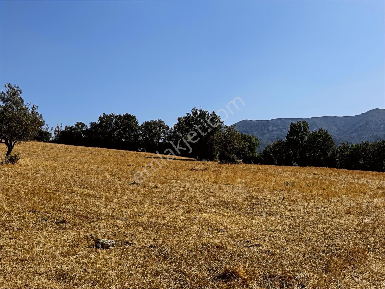 Beynil'den Bursa Orhaneli Serçeler'de 7333 M2 Satılık Tarla - Görsel 12