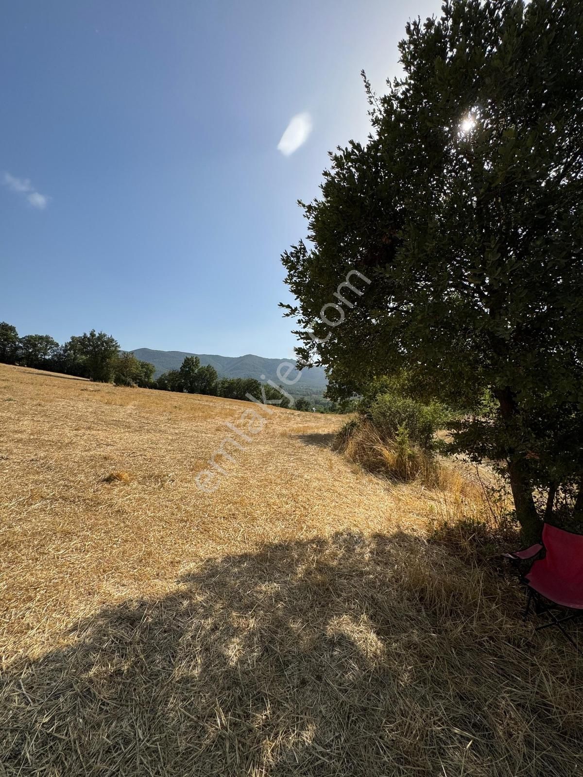 Beynil'den Bursa Orhaneli Serçeler'de 7333 M2 Satılık Tarla - Görsel 4