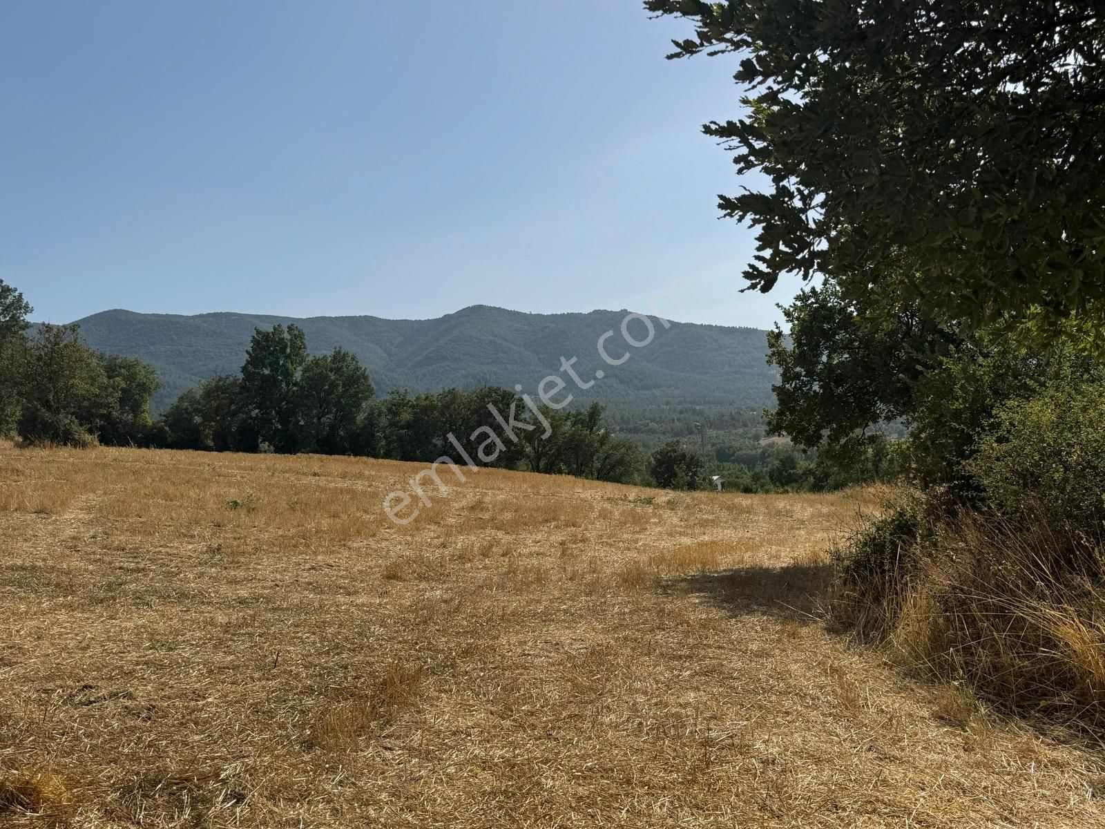 Beynil'den Bursa Orhaneli Serçeler'de 7333 M2 Satılık Tarla - Görsel 2