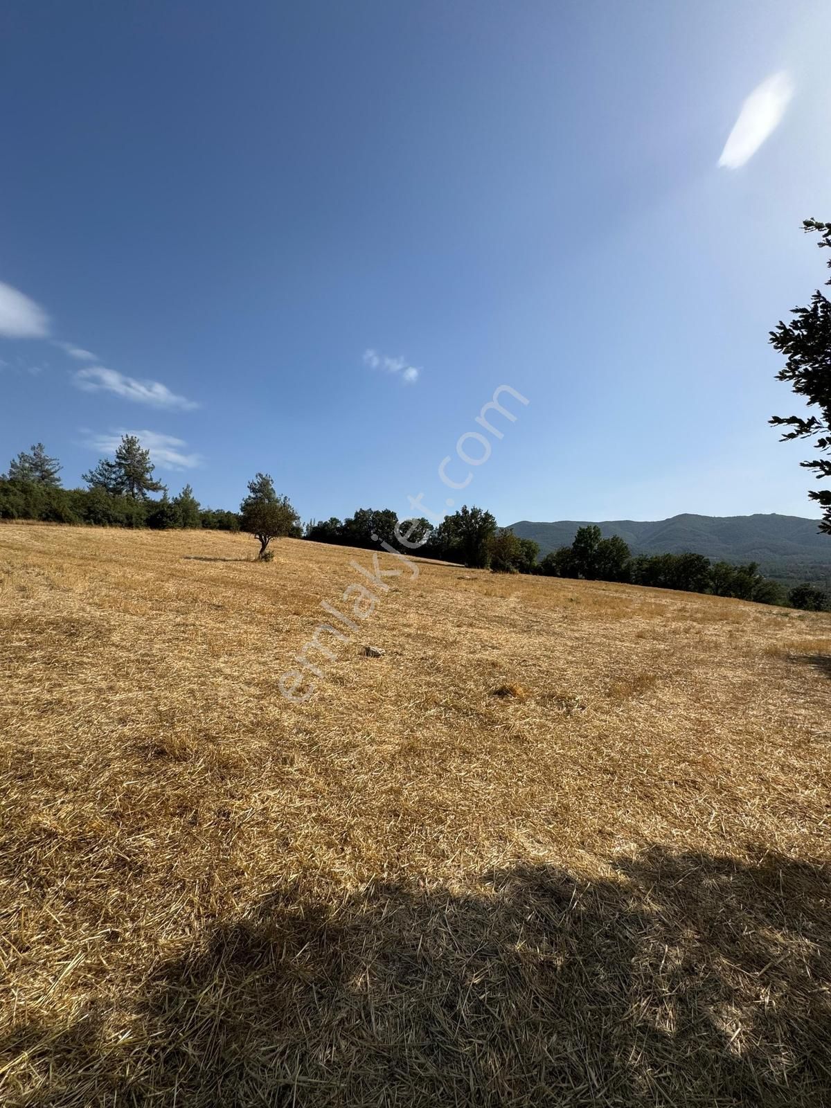 Beynil'den Bursa Orhaneli Serçeler'de 7333 M2 Satılık Tarla - Görsel 8