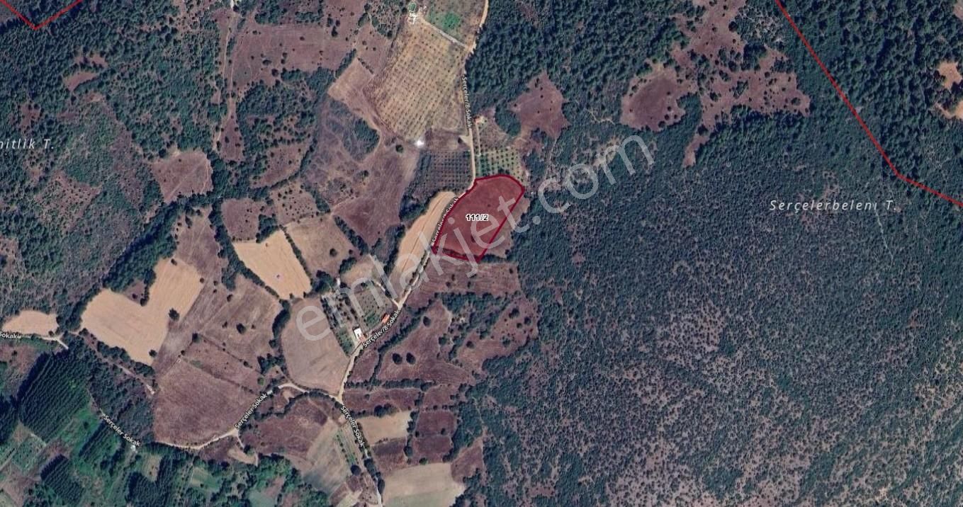 Beynil'den Bursa Orhaneli Serçeler'de 7333 M2 Satılık Tarla