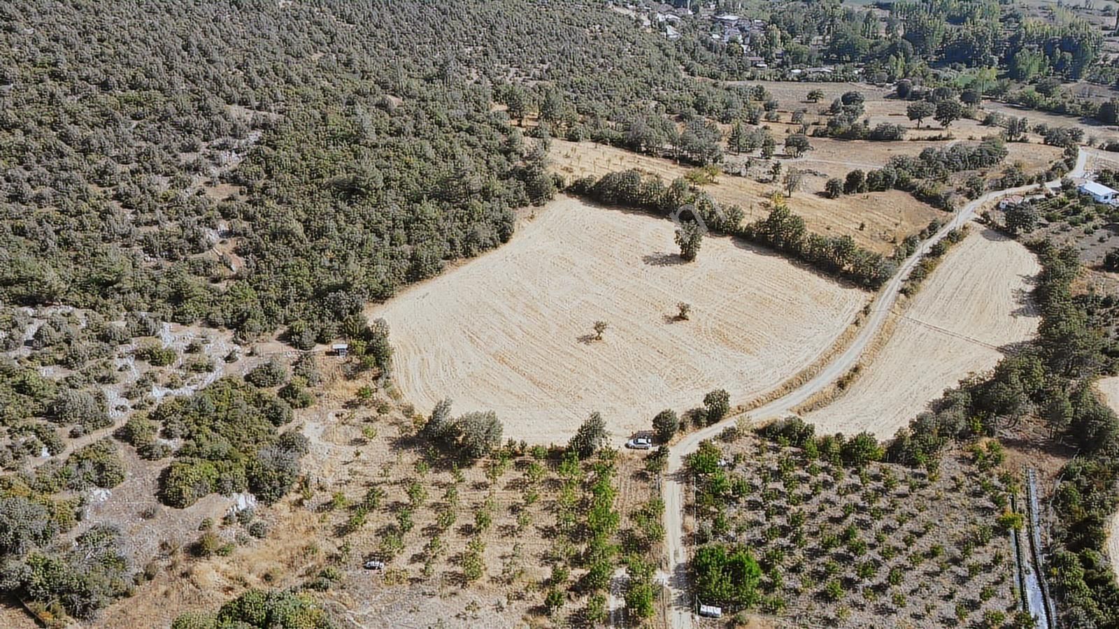 Beynil'den Bursa Orhaneli Serçeler'de 7333 M2 Satılık Tarla - Görsel 15