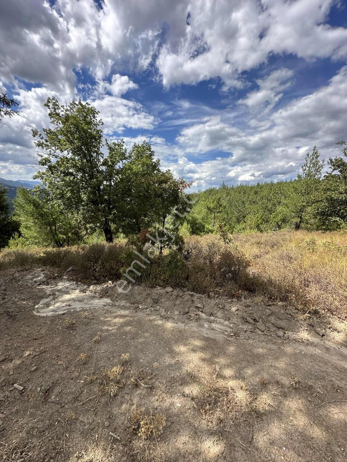 Beynil'den Orhaneli Belenoluk'ta Fırsat Tarla - Görsel 4