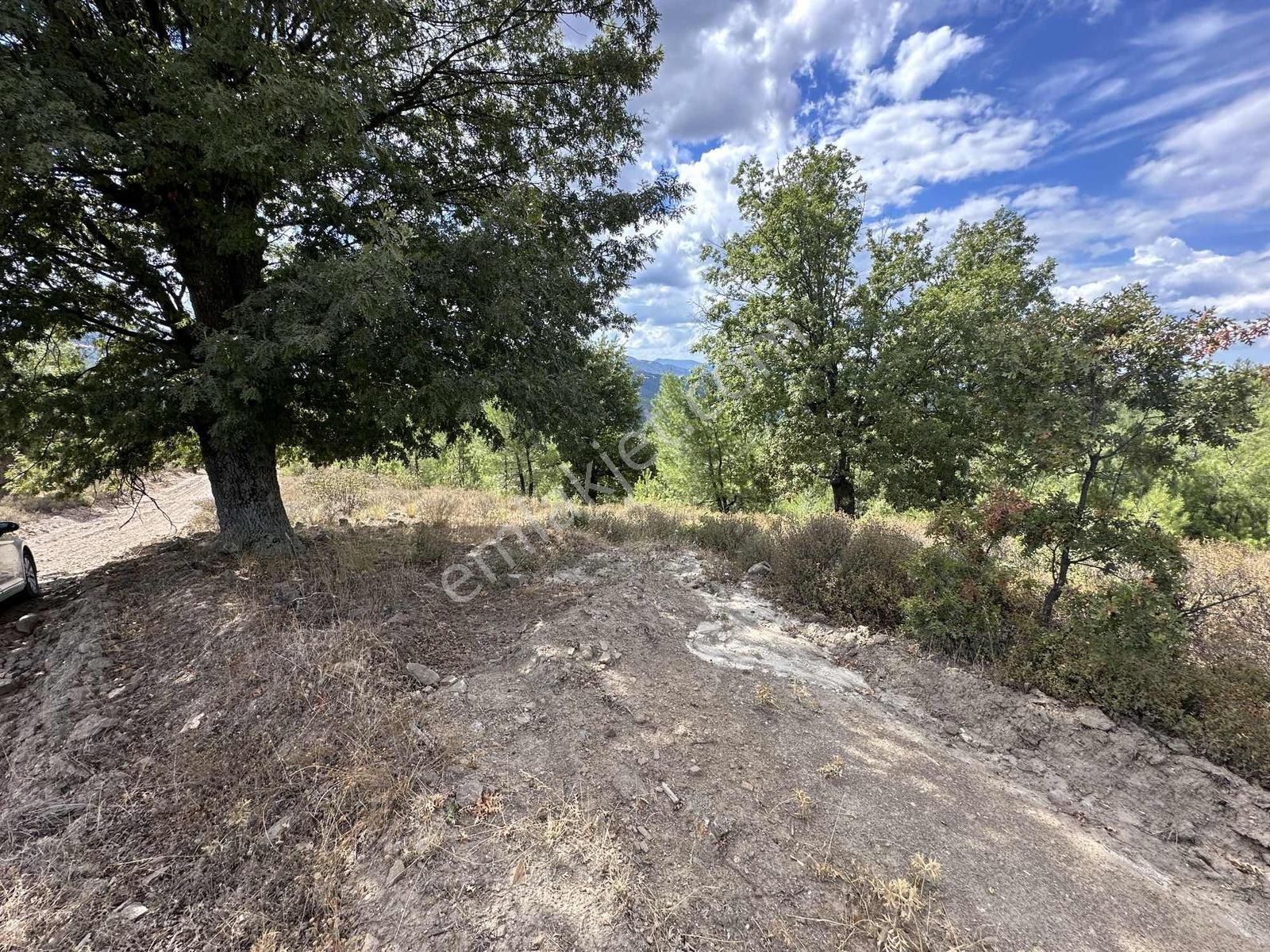 Beynil'den Orhaneli Belenoluk'ta Fırsat Tarla - Görsel 5