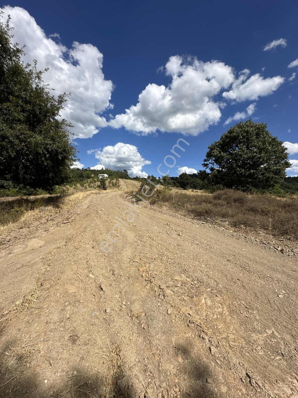Beynil'den Orhaneli Belenoluk'ta Fırsat Tarla - Görsel 3