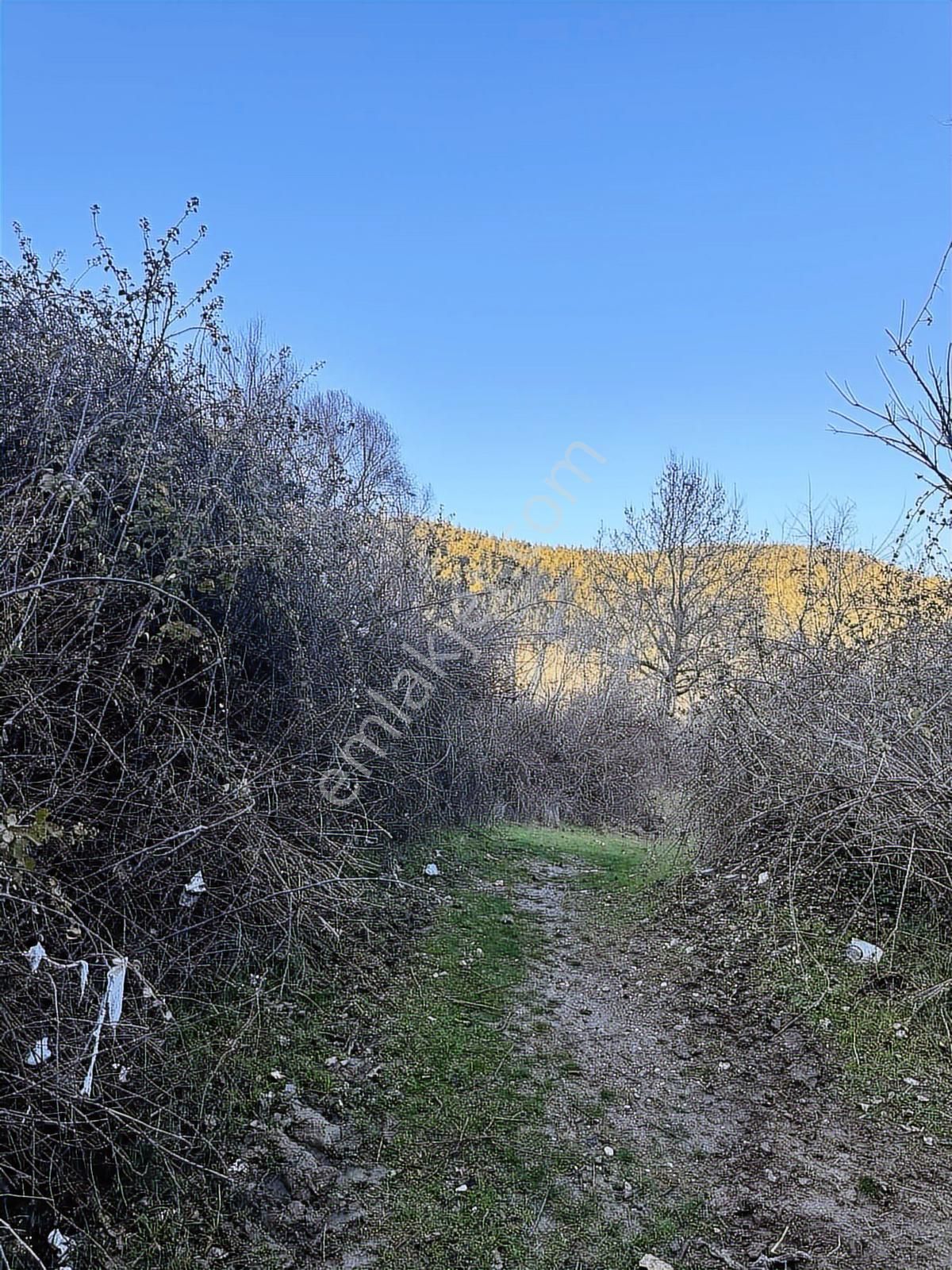 Beynil'den Kocasu Yanı Mükemmel Tarla - Görsel 3