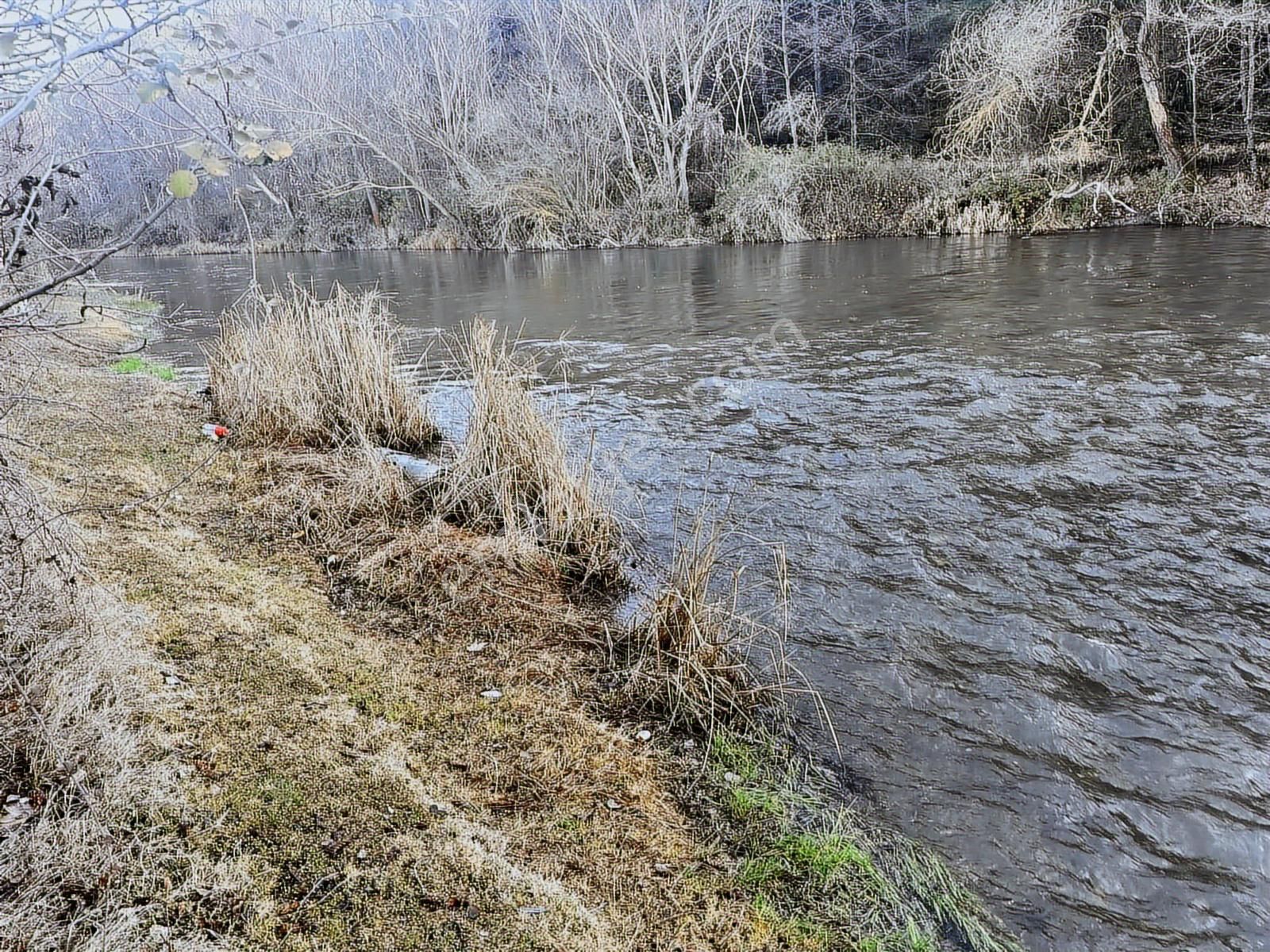 Beynil'den Kocasu Yanı Mükemmel Tarla - Görsel 4