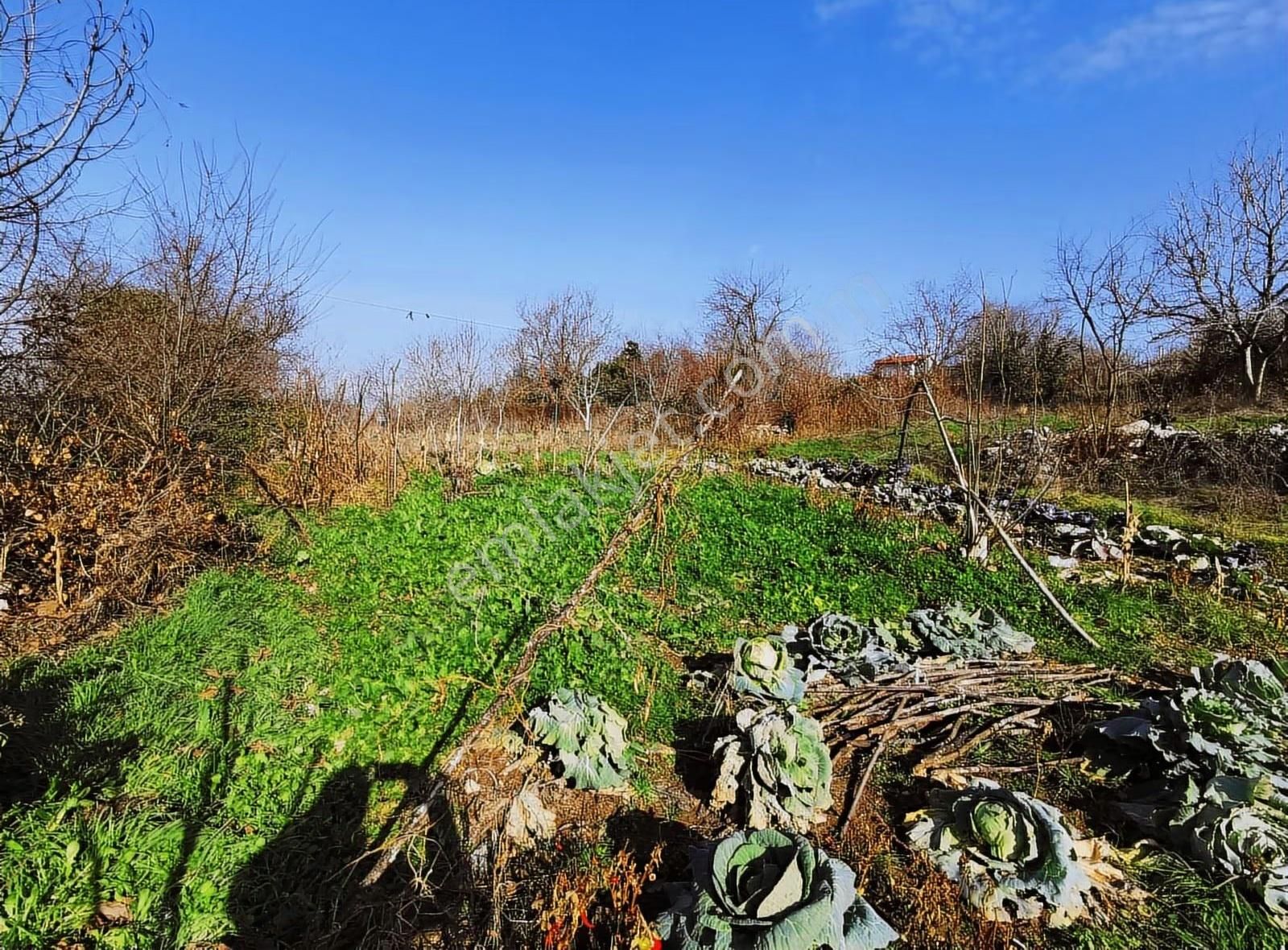 Bursa Yenişehir Gökçesu Mah.de Satılık İmarlı Arsa Bahçe - Görsel 21