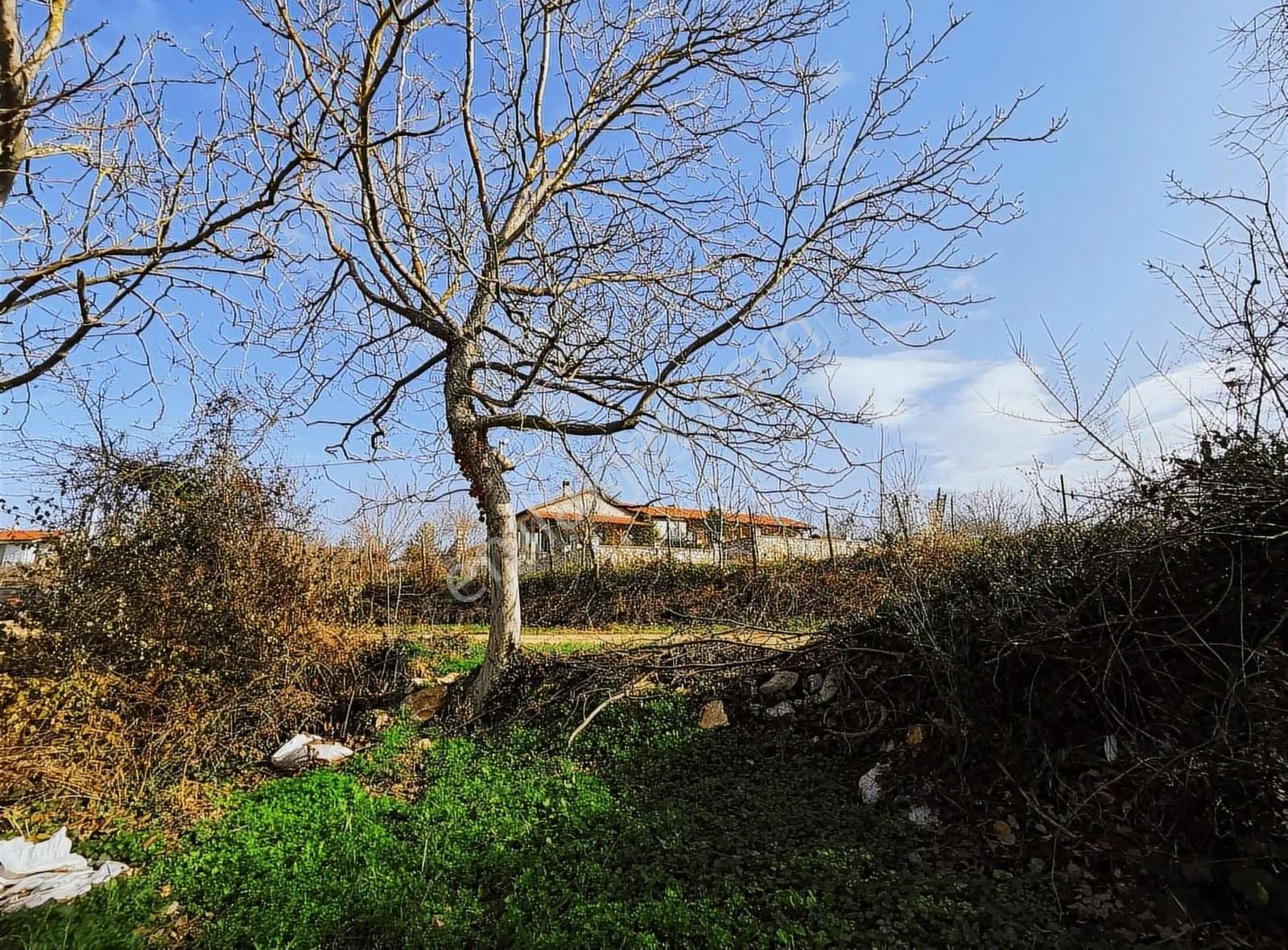 Bursa Yenişehir Gökçesu Mah.de Satılık İmarlı Arsa Bahçe - Görsel 10