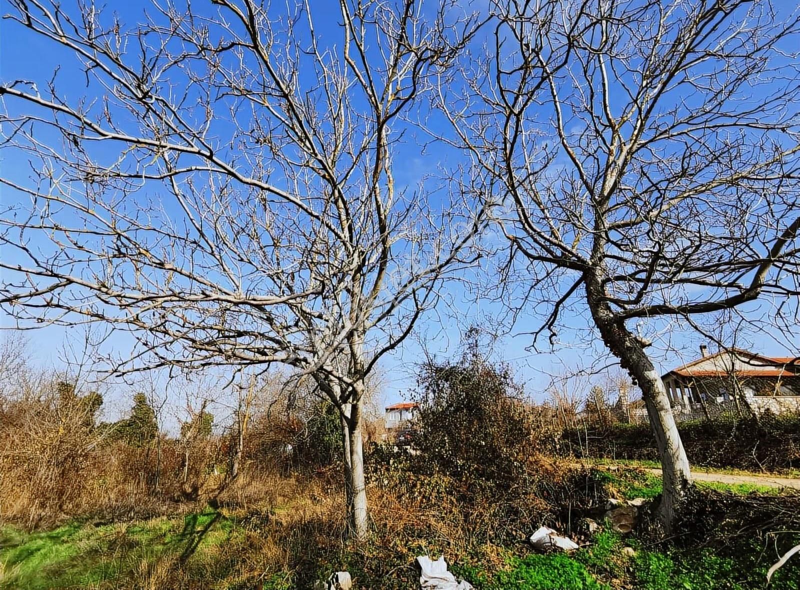 Bursa Yenişehir Gökçesu Mah.de Satılık İmarlı Arsa Bahçe - Görsel 22