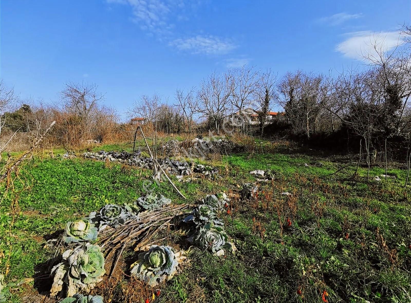 Bursa Yenişehir Gökçesu Mah.de Satılık İmarlı Arsa Bahçe - Görsel 23