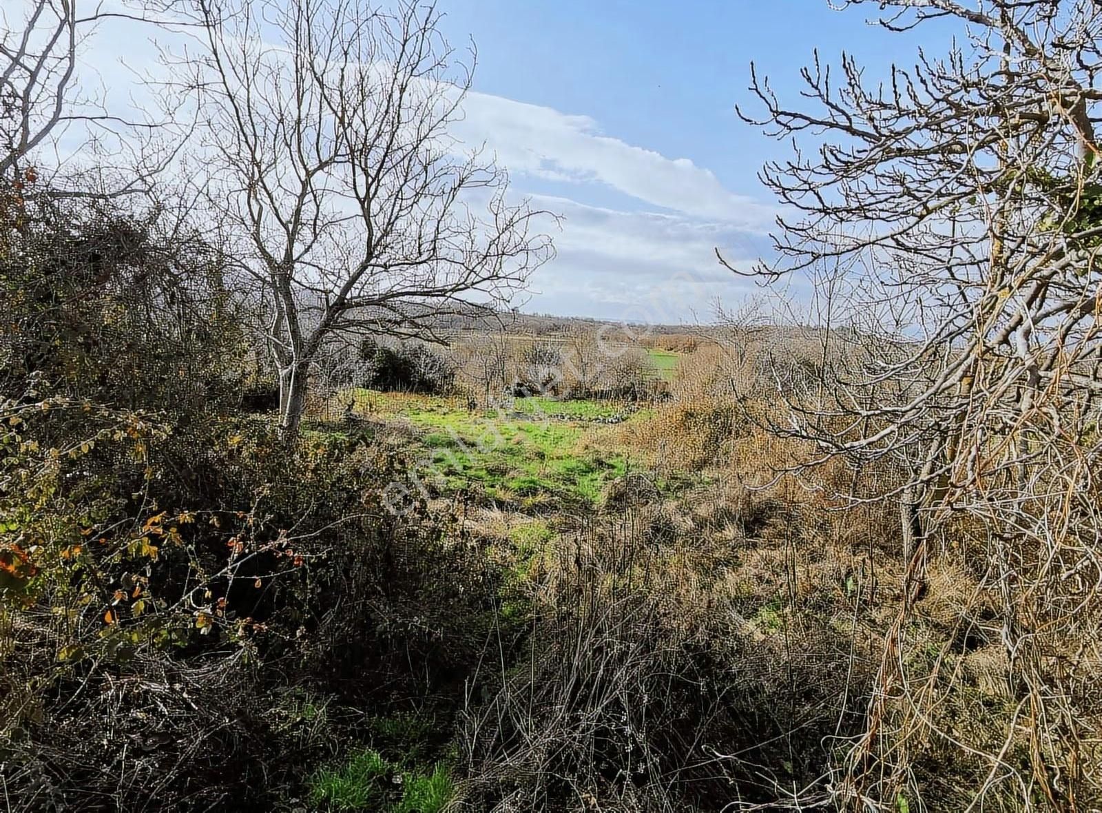 Bursa Yenişehir Gökçesu Mah.de Satılık İmarlı Arsa Bahçe - Görsel 11