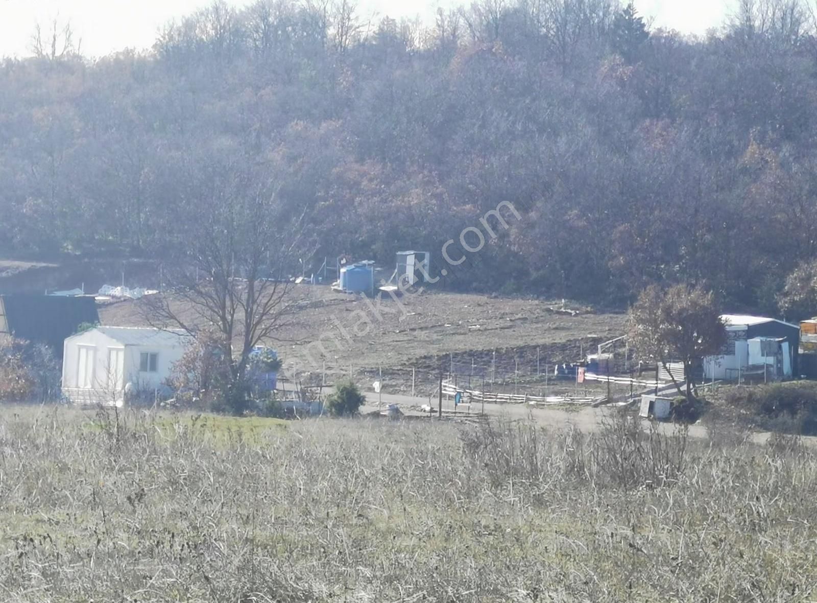 Bursa Yenişehir Hamidiyede Havalimanı Manzaralı Satılık Tarla - Görsel 6