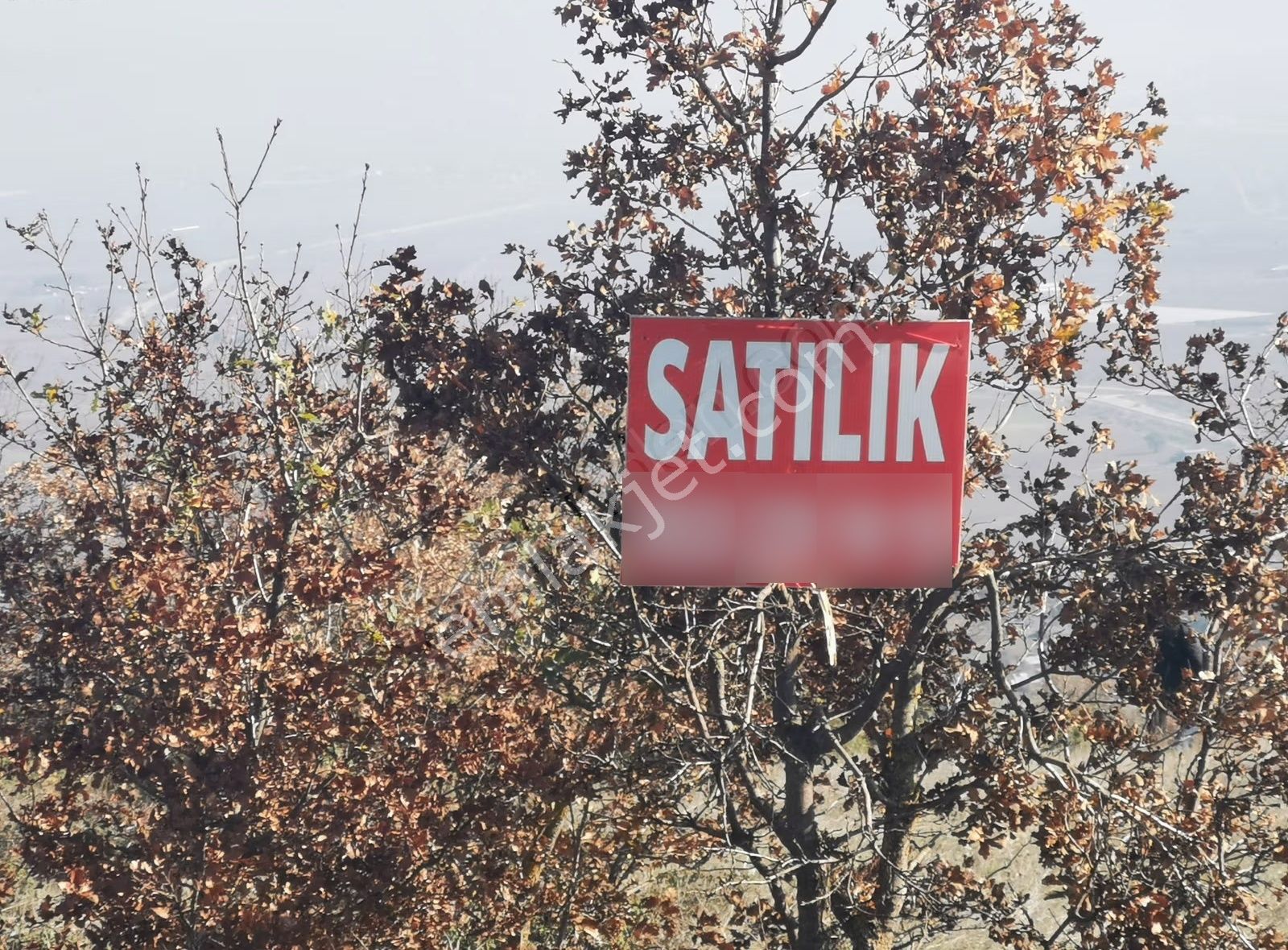 Bursa Yenişehir Hamidiyede Havalimanı Manzaralı Satılık Tarla - Görsel 7