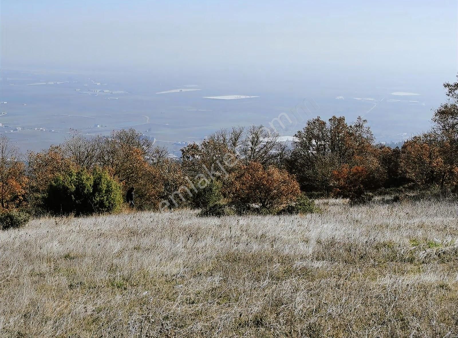 Bursa Yenişehir Hamidiyede Havalimanı Manzaralı Satılık Tarla - Görsel 5