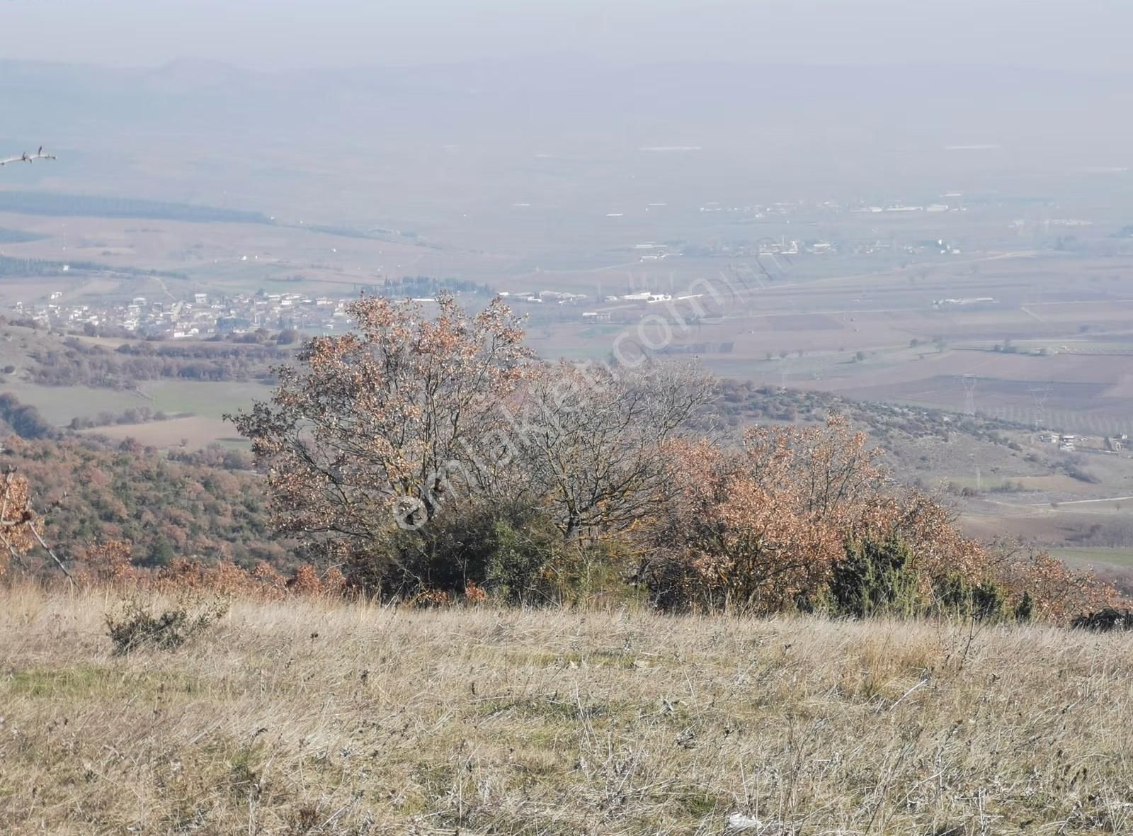Bursa Yenişehir Hamidiyede Havalimanı Manzaralı Satılık Tarla - Görsel 4