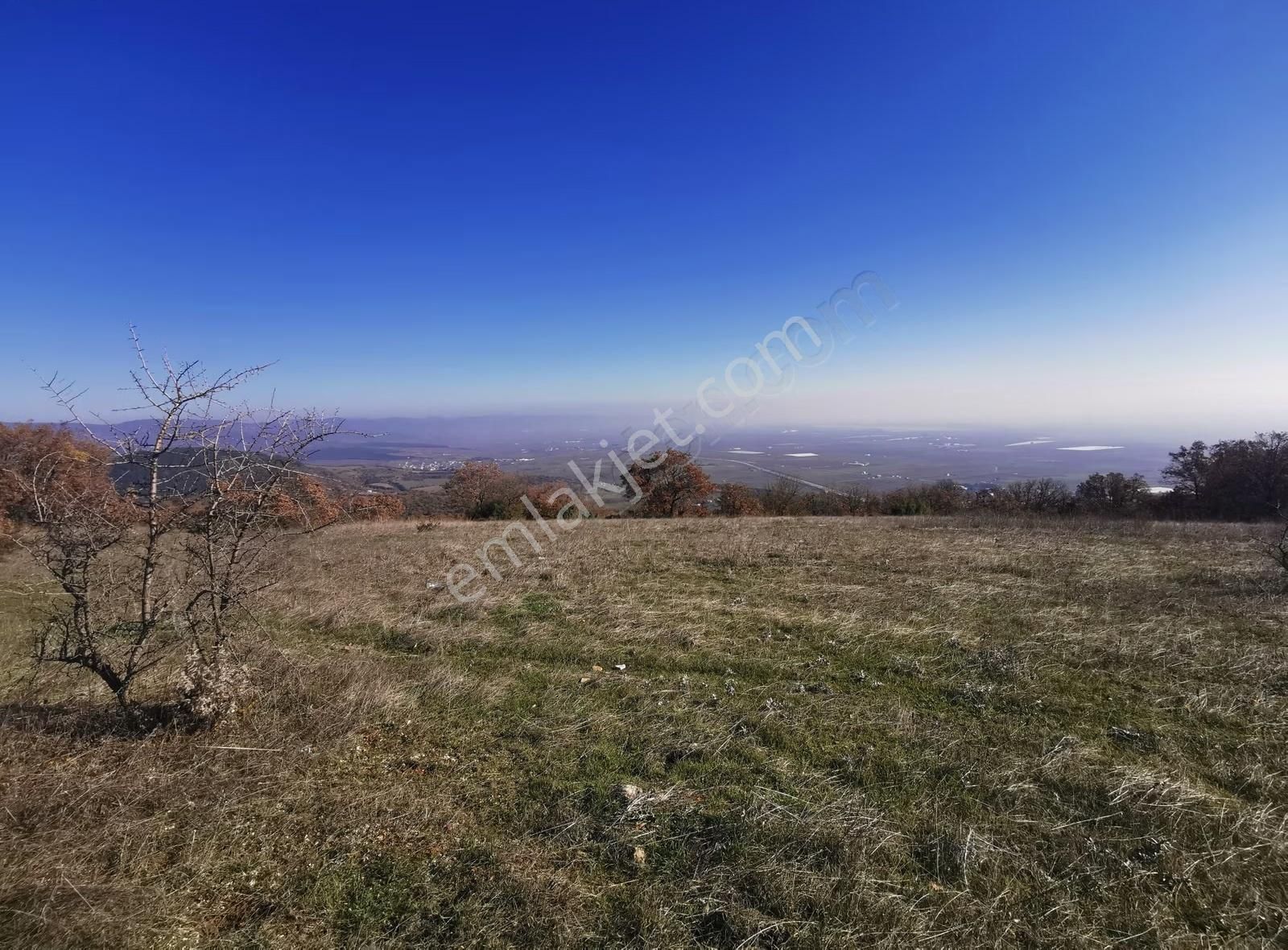 Bursa Yenişehir Hamidiyede Havalimanı Manzaralı Satılık Tarla - Görsel 8