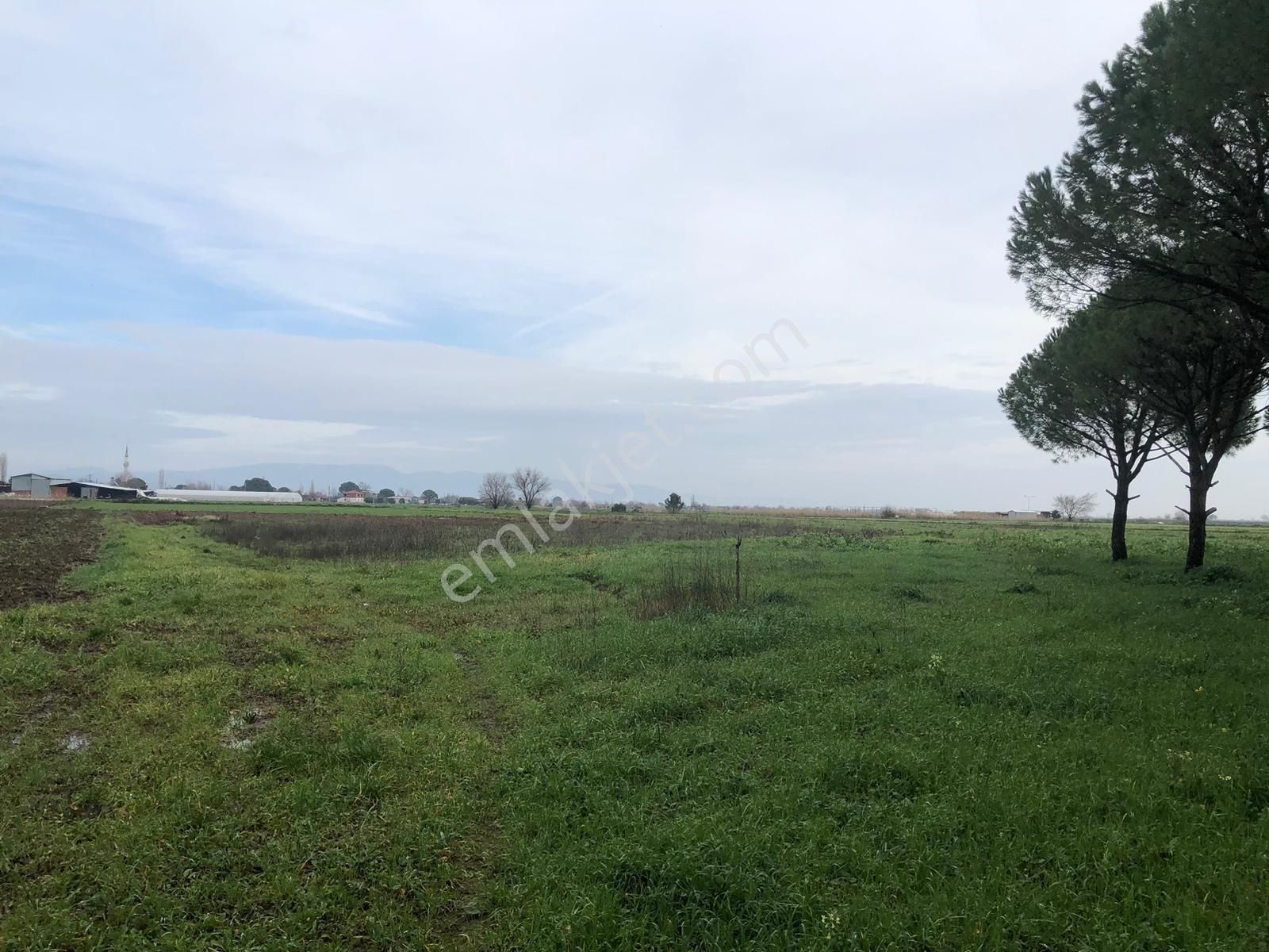 Dağıstan Mahallesi'nde İmarlı Arsalar - Görsel 2