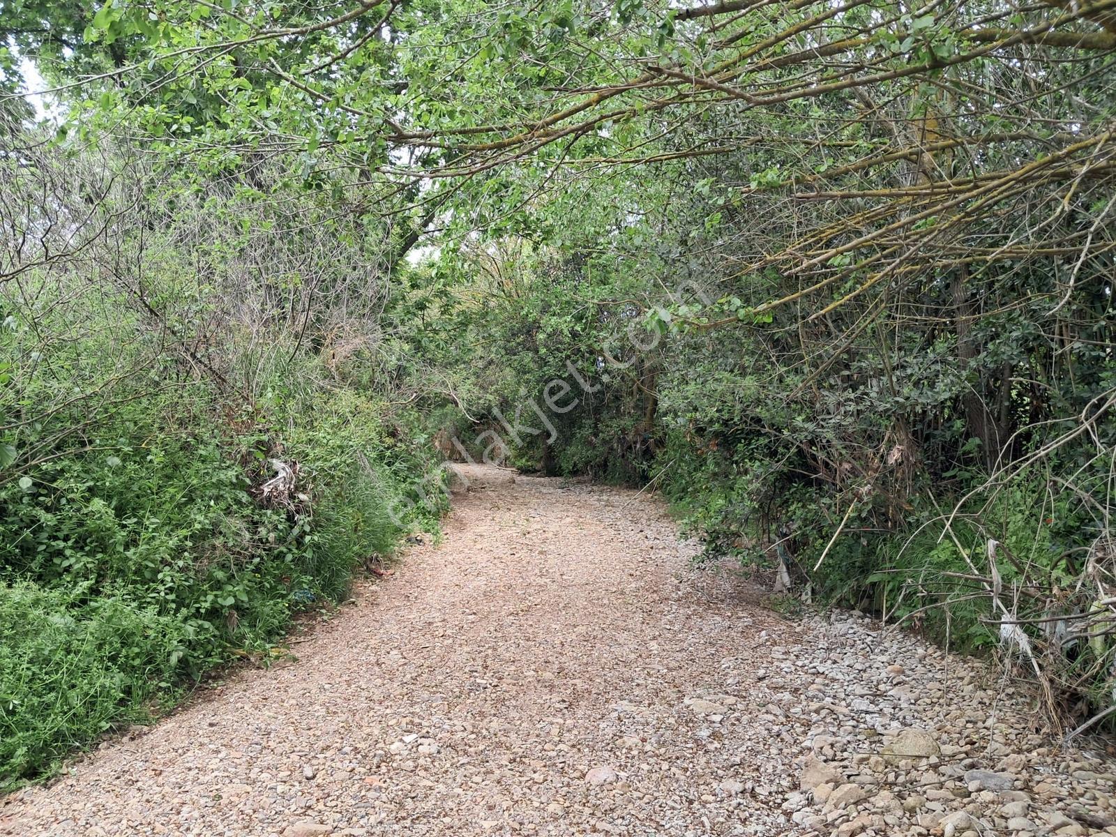 Bodrum Peksimet'te Satılık 4 Dönüm Tarla - Görsel 12