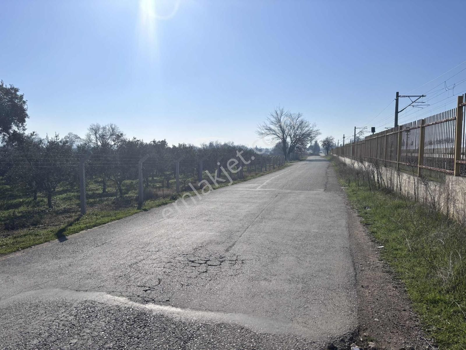 Realivadan İzmir Menderes'de Satılık Tarla - Görsel 5