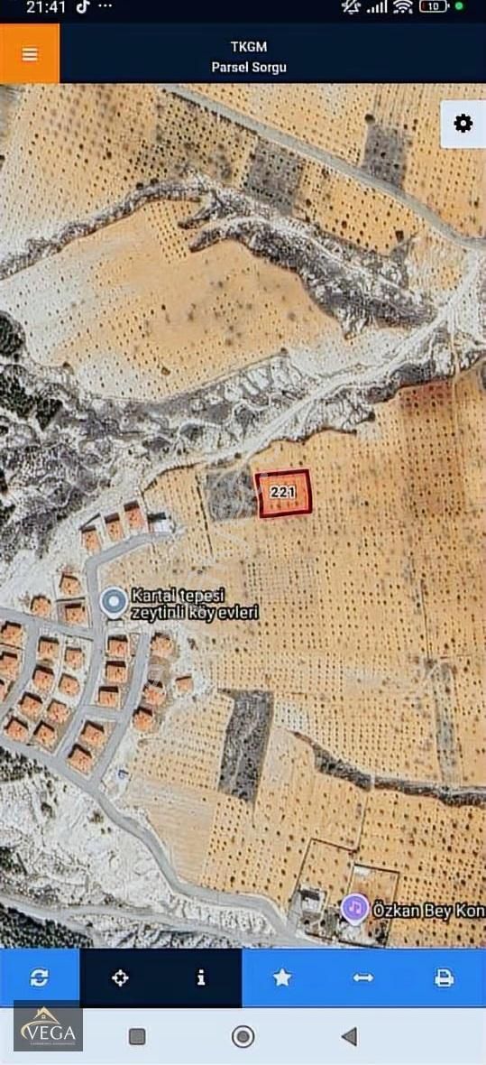 Vega Gayrimenkul Den Zeytinlide Satılık Arazi - Görsel 3