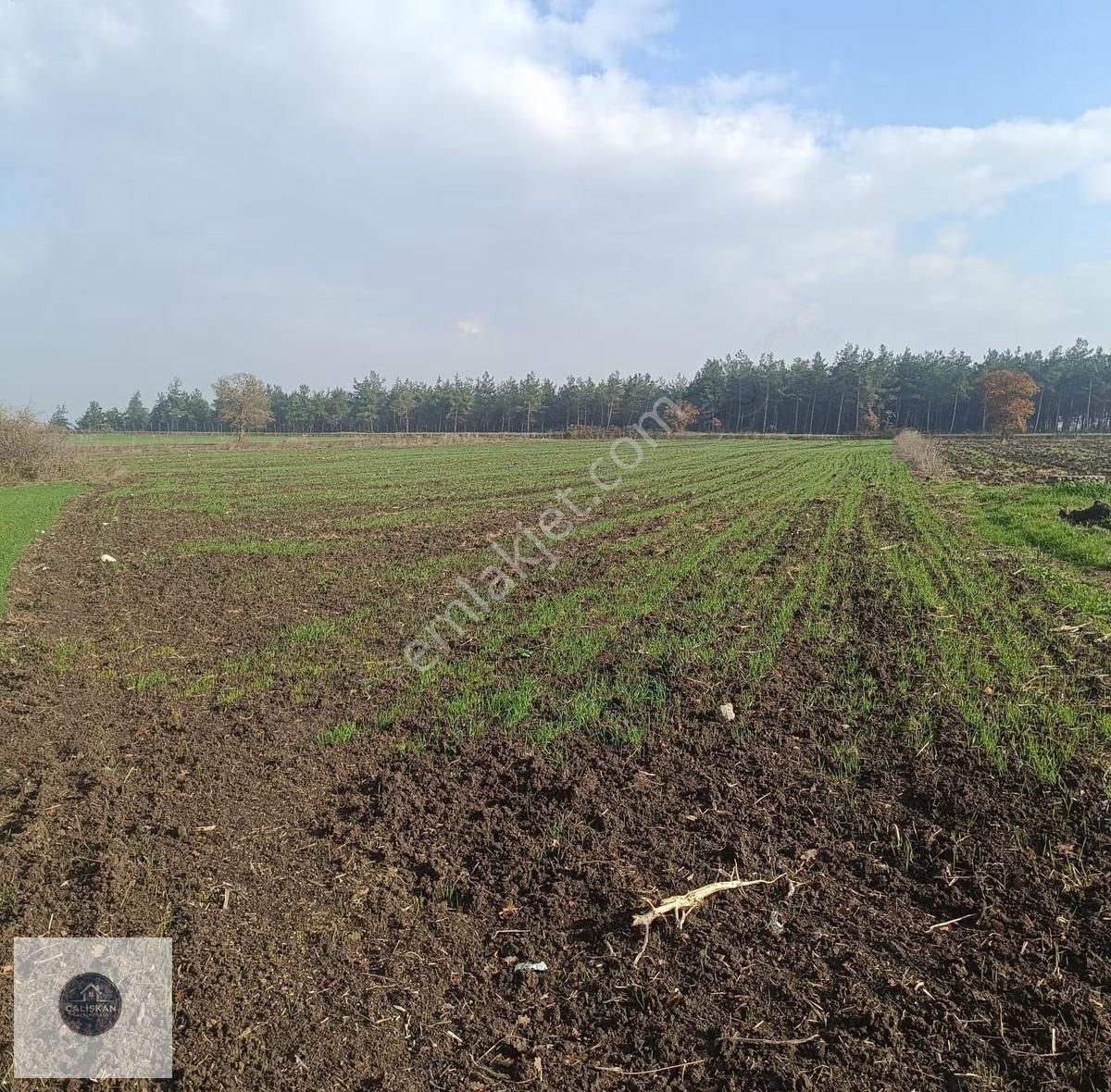 Nilüfer Yolçatı Satılık Tarla - Görsel 4