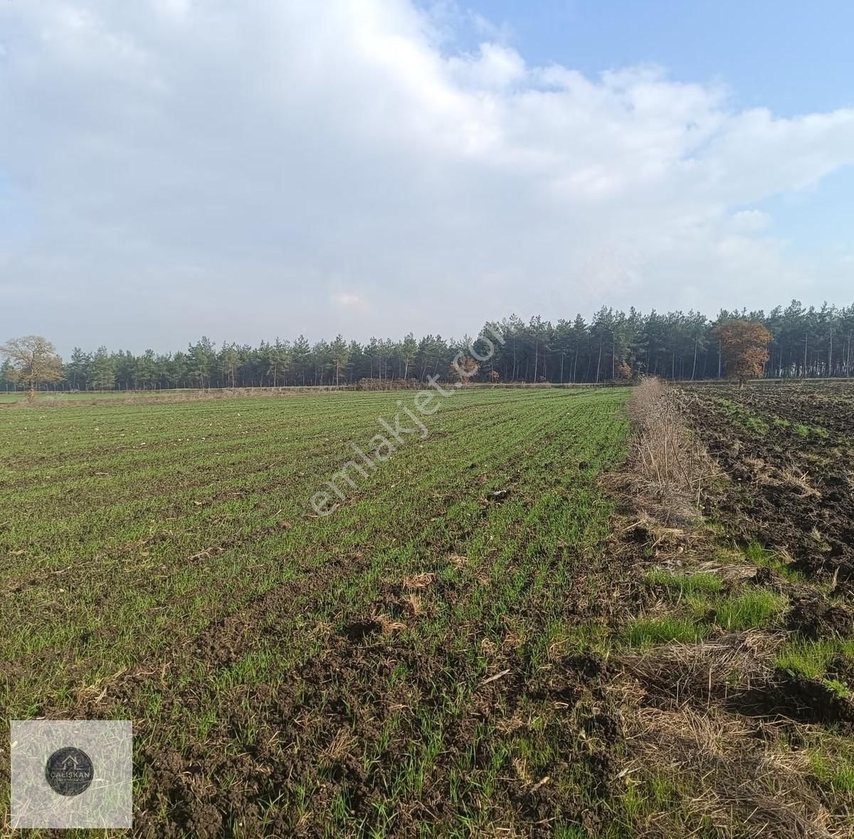 Nilüfer Yolçatı Satılık Tarla - Görsel 3