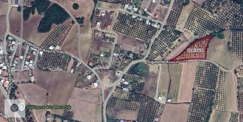 Mudanya Söğütpınar Deniz Manzaralı Yola Cephe 4,361 M2 Zeytinlik - Görsel 3