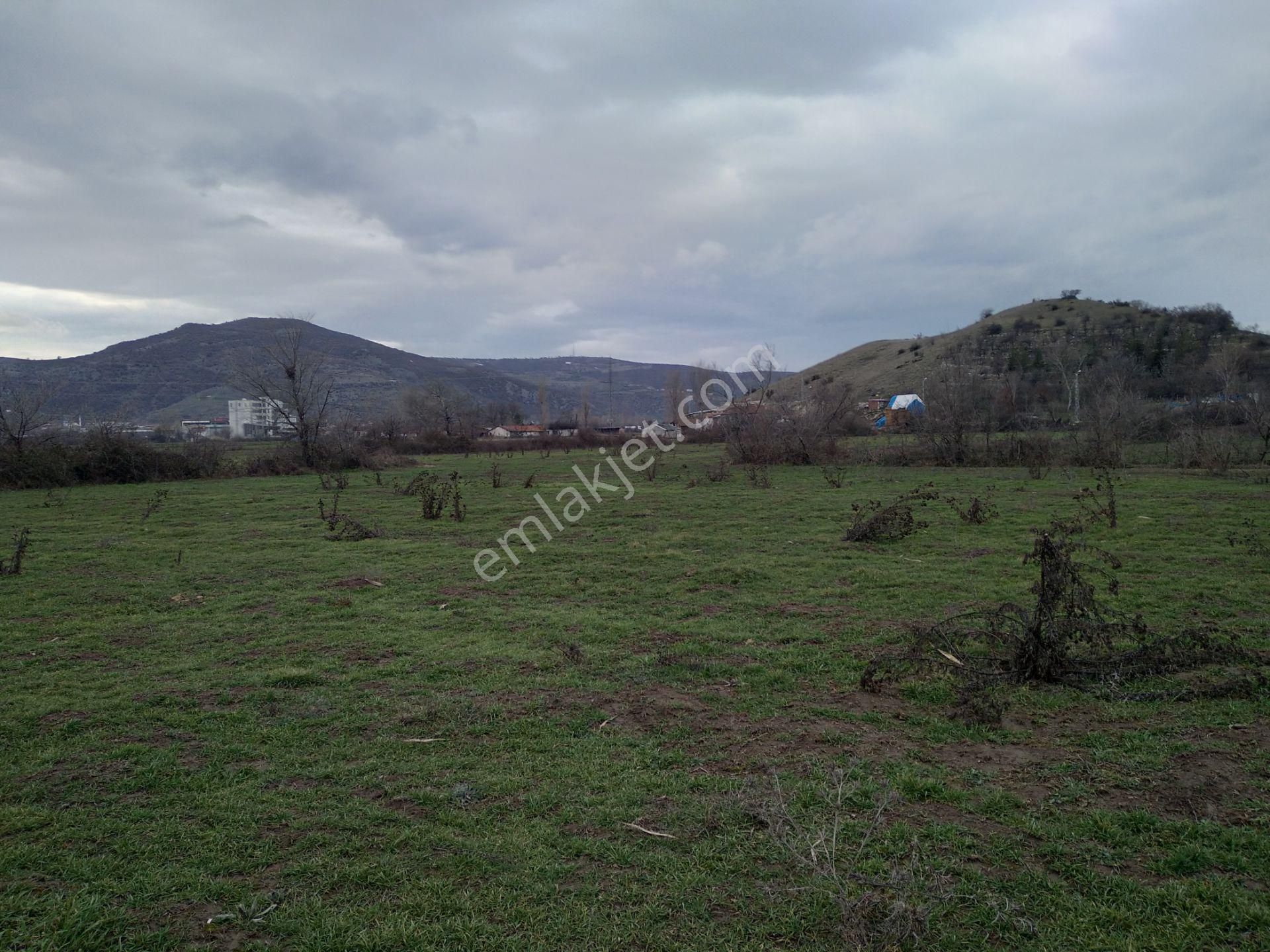 Satılık Tarla Anas Emlak Tan - Görsel 3