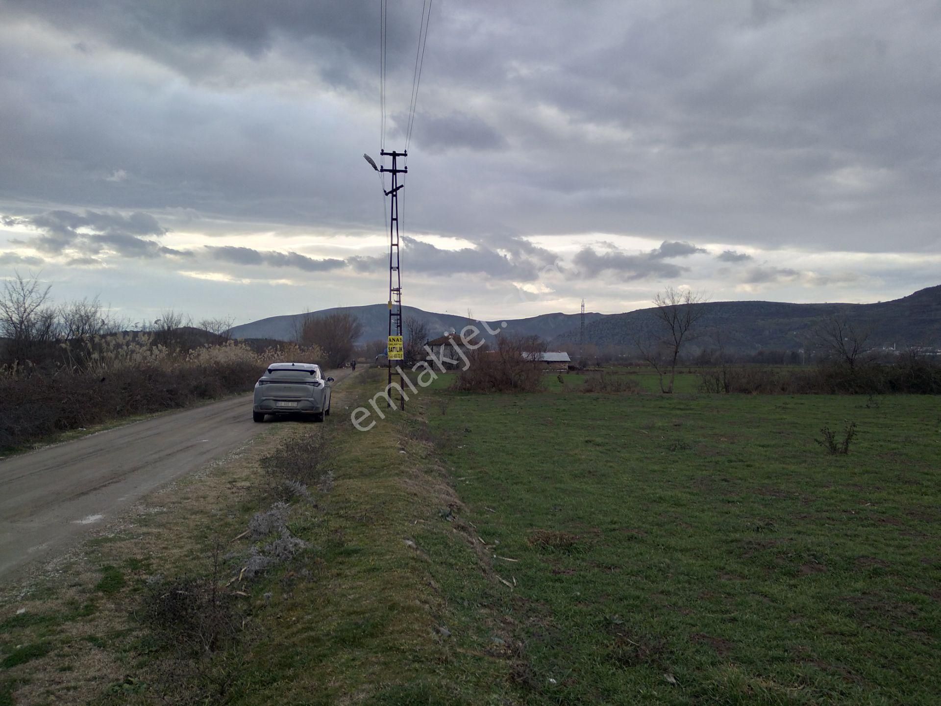Satılık Tarla Anas Emlak Tan - Görsel 2