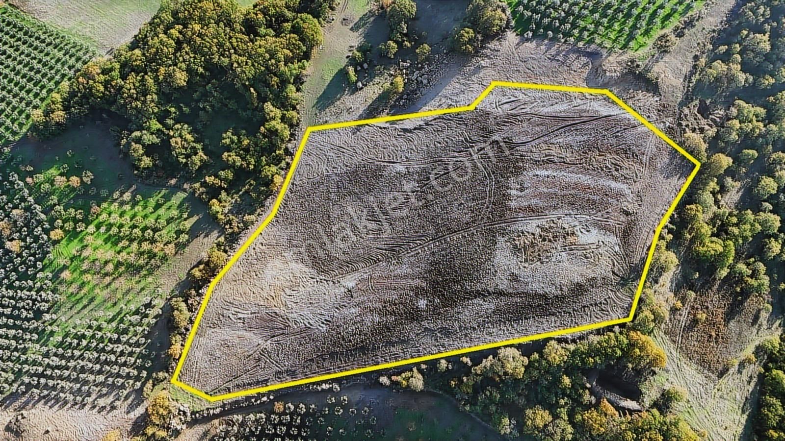 Bursa / Gemlik / Osmangazi Seçköy / Muratoba 25.000 M2 Tarla - Görsel 7