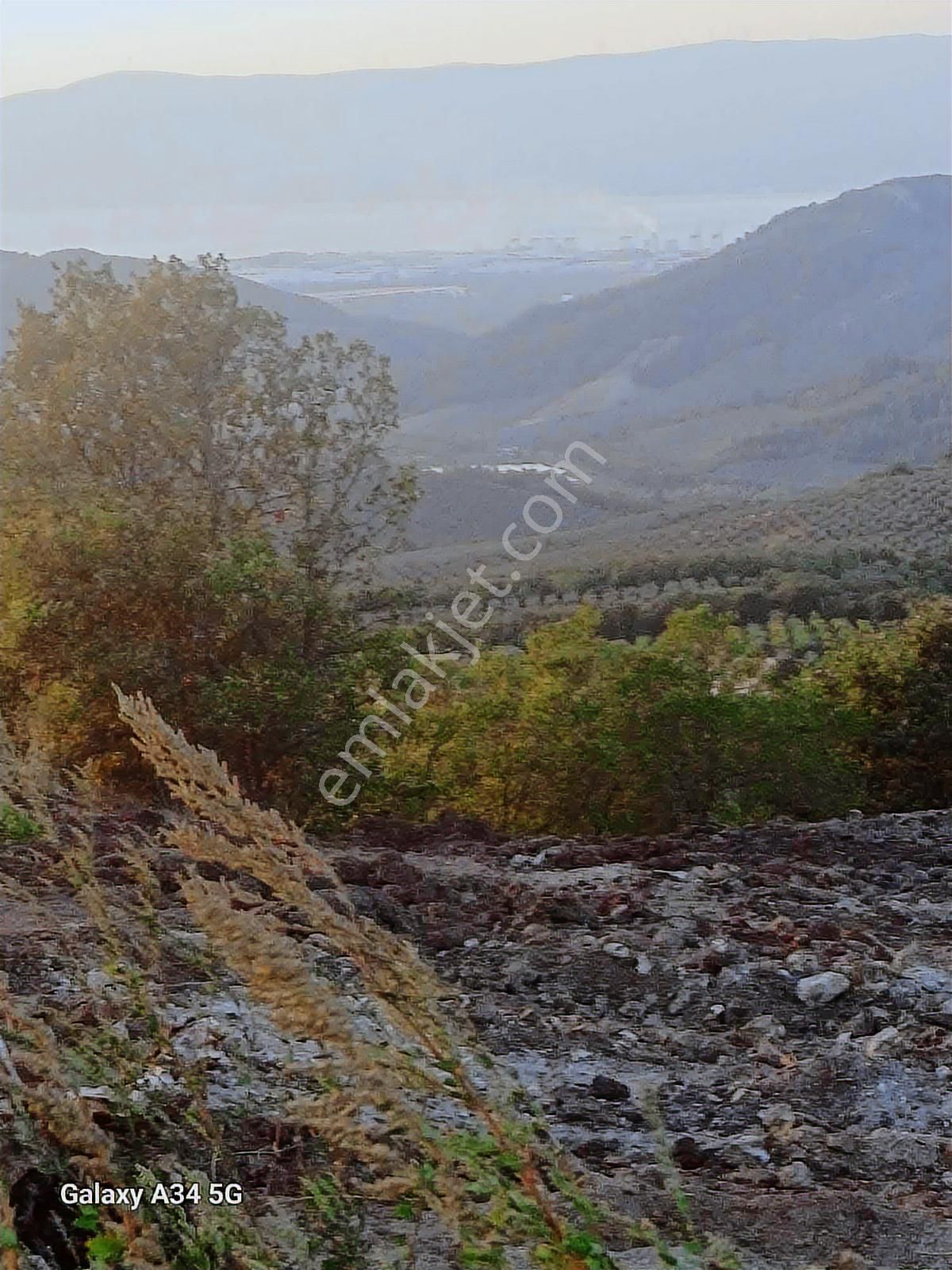 Bursa / Gemlik / Osmangazi Seçköy / Muratoba 25.000 M2 Tarla - Görsel 8