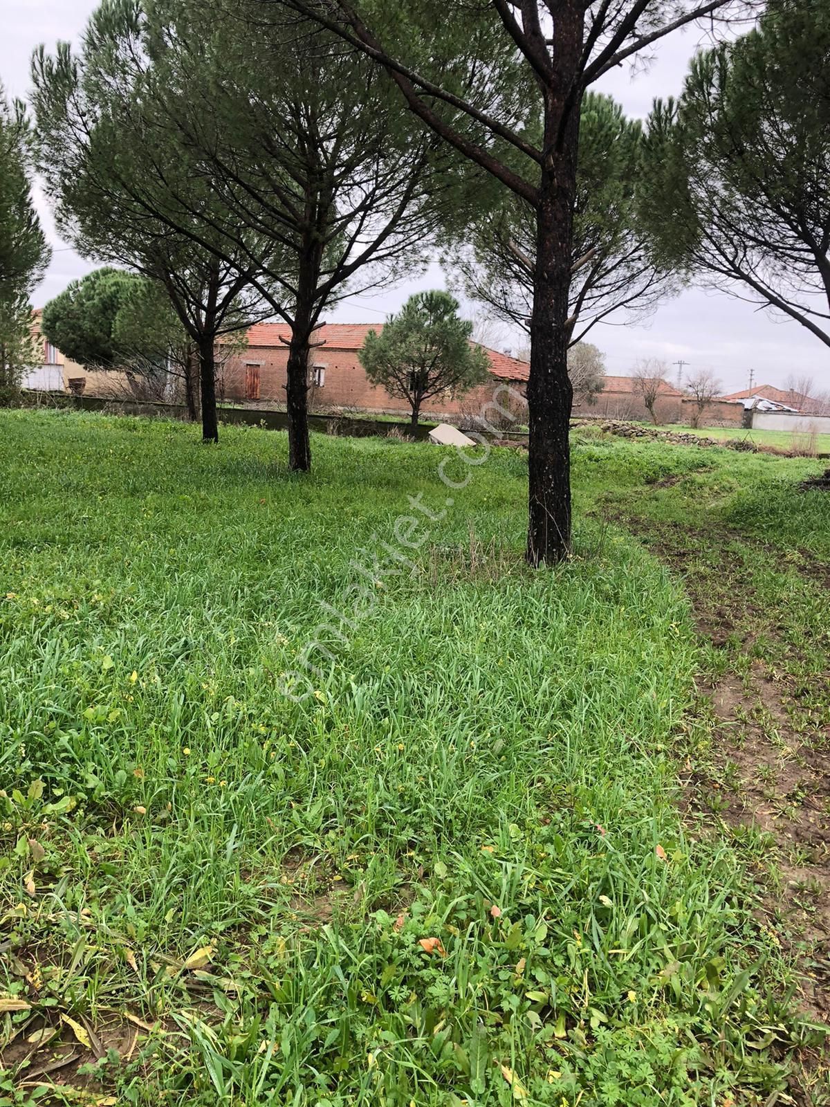 Dağıstan Mahallesi'nde Konut İmarlı Arsa