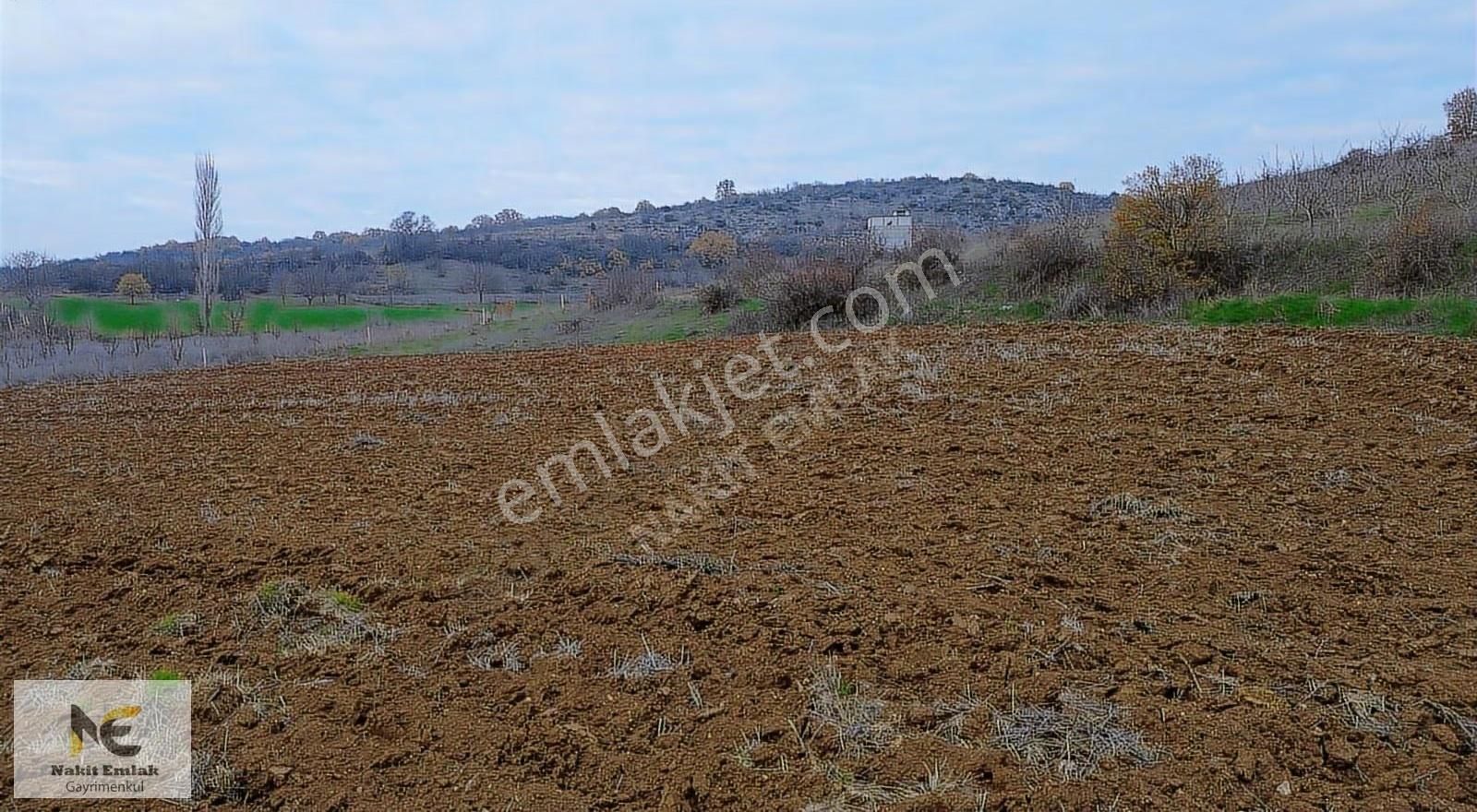 Kulaca'da 5177m2 Resmi Yol Yatırımlık Harika Nokta - Görsel 8