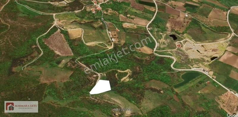 Marmara Gets - Karamürsel İnebeylide Köy Merkezine Yakın Yollu - Görsel 17