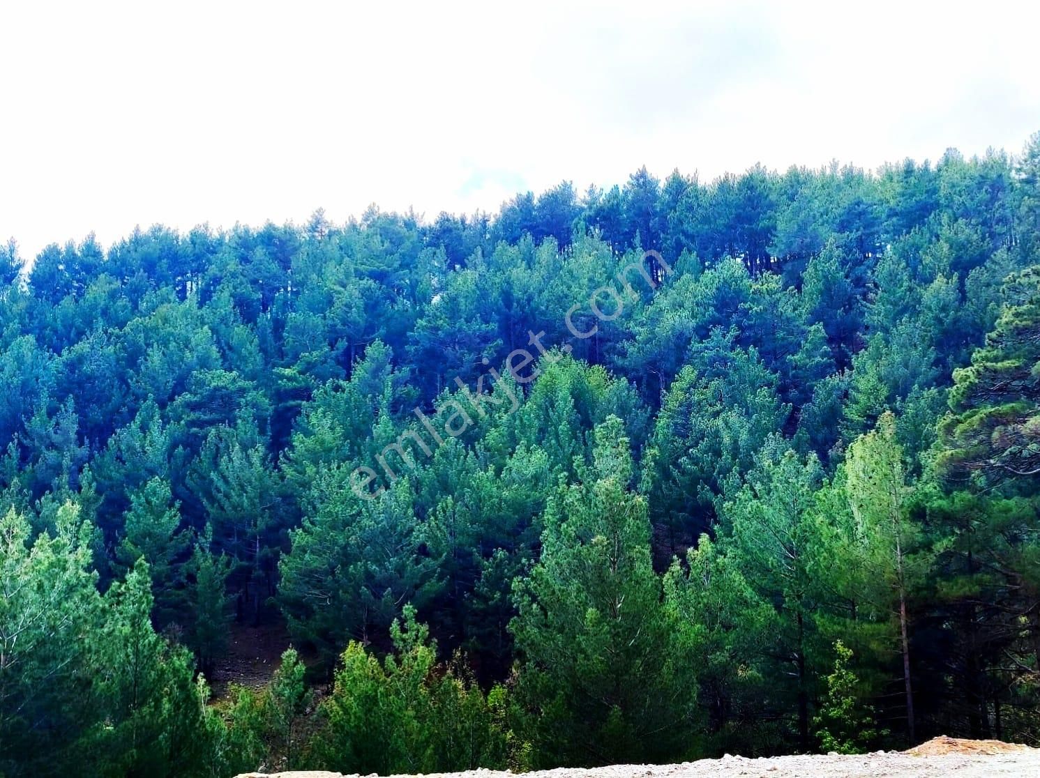 Kar Emlaktan Yenikonacık Körmenlik Mevkiinde 400 M2 Satılık Arsa - Görsel 8