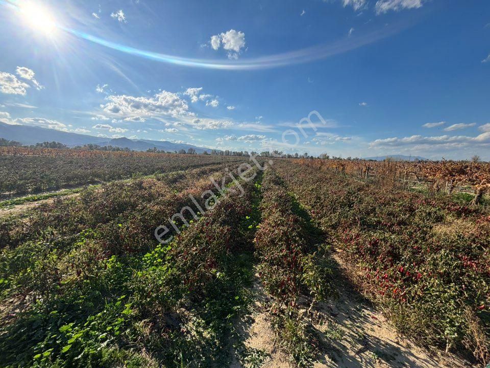 Tc Emlaktan Satılık 10 Dönüm Tarla ! - Görsel 19