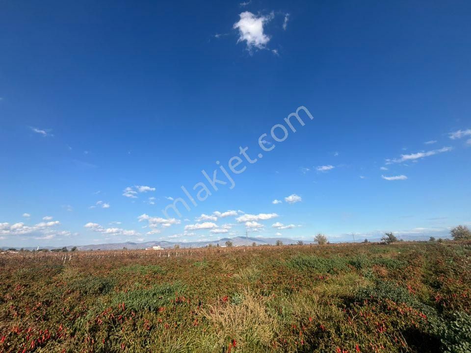Tc Emlaktan Satılık 10 Dönüm Tarla ! - Görsel 23