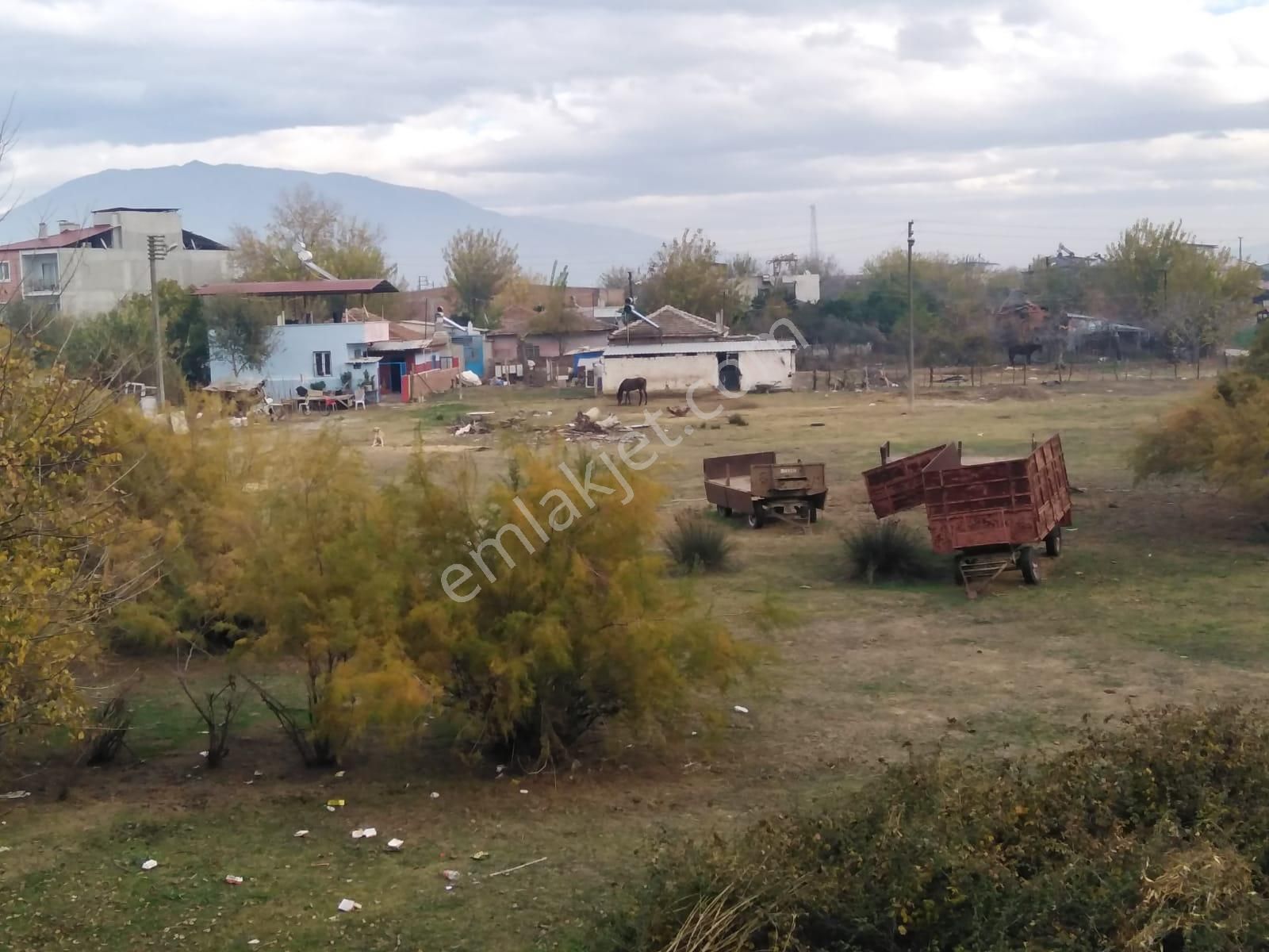 Aydın Nazilli Sümer Mahallesinde Satılık 7000 M² Arsa - Görsel 15