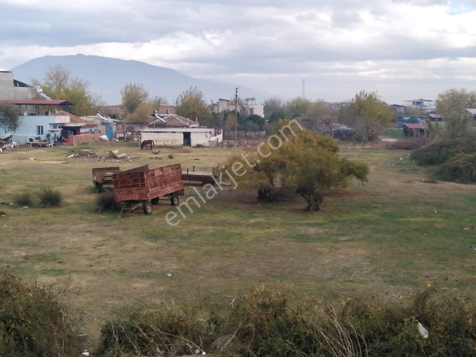 Aydın Nazilli Sümer Mahallesinde Satılık 7000 M² Arsa - Görsel 14