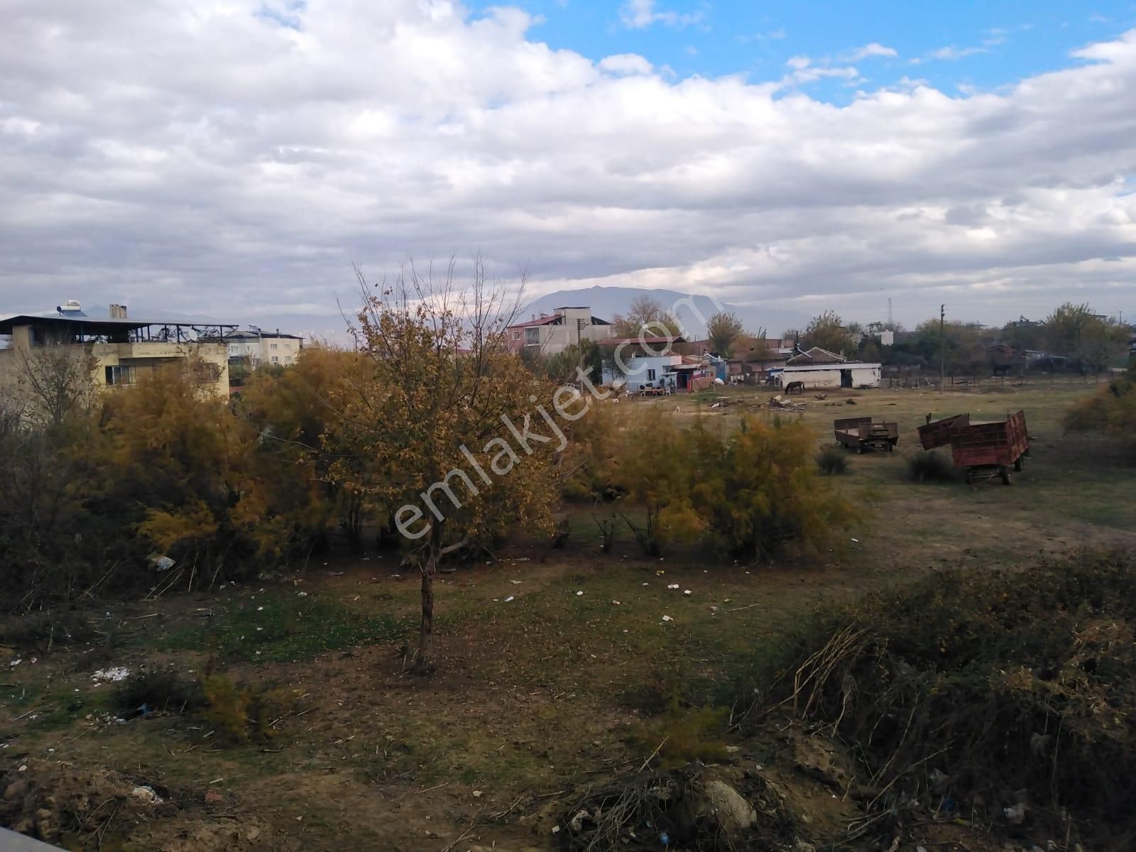 Aydın Nazilli Sümer Mahallesinde Satılık 7000 M² Arsa - Görsel 11
