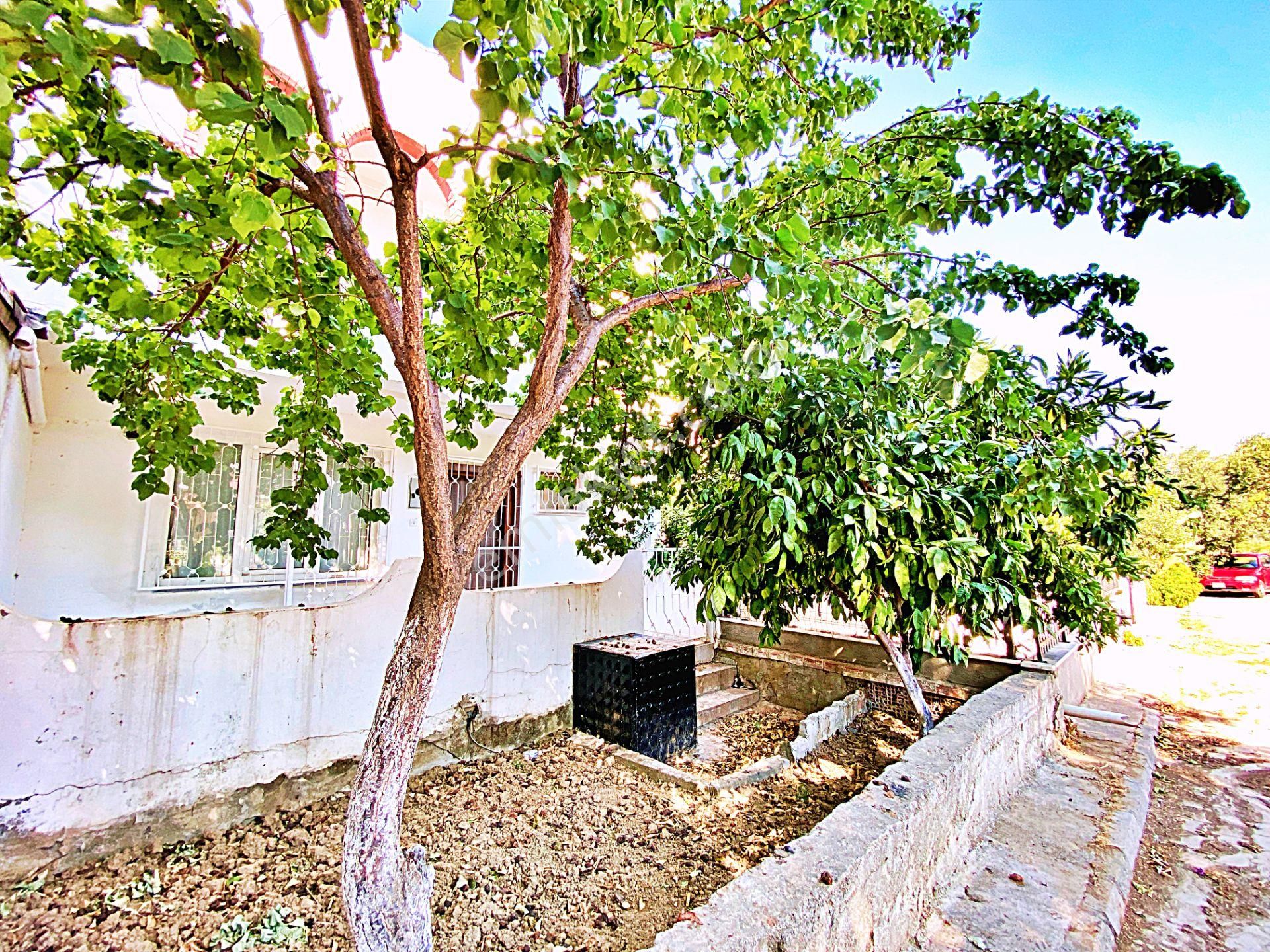 🌀gültaş Emlaktan Gürede Satılık Denize 200m Geniş Bahçeli 2+1 Müstakil Ev - Görsel 15